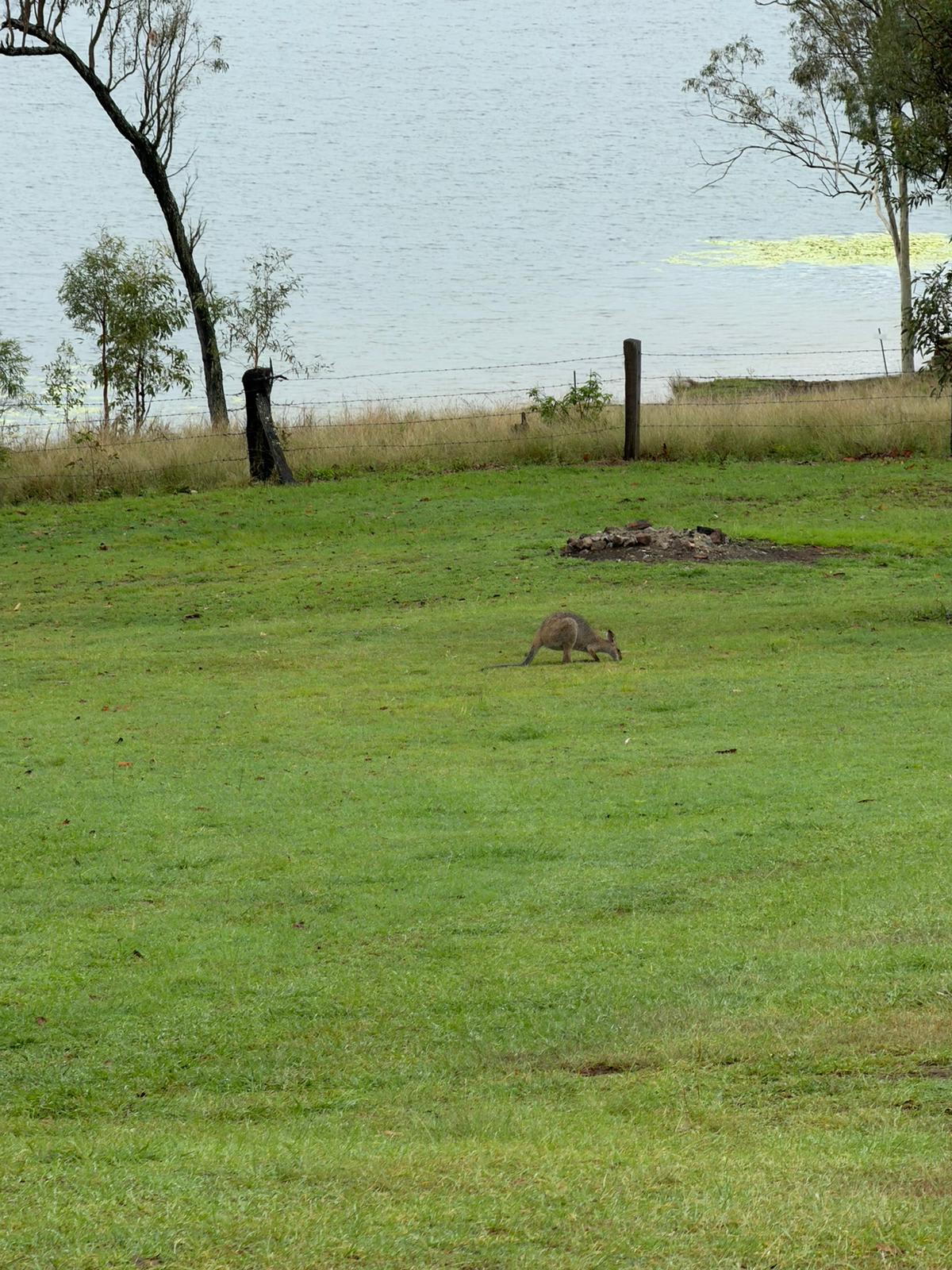 Pointro Bunkhouse and Campground