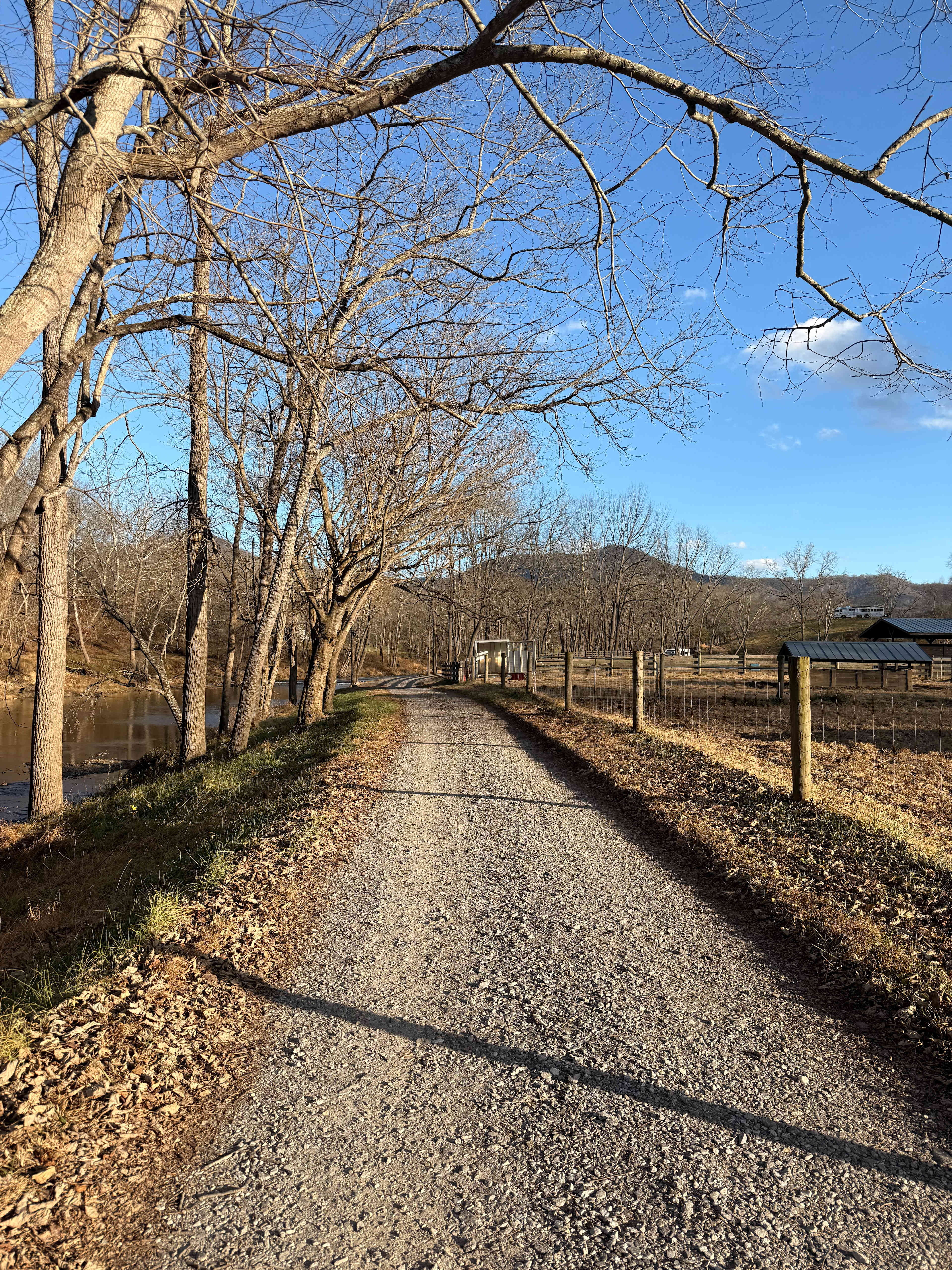 Smoky Mtn Mangalitsa River Ranch
