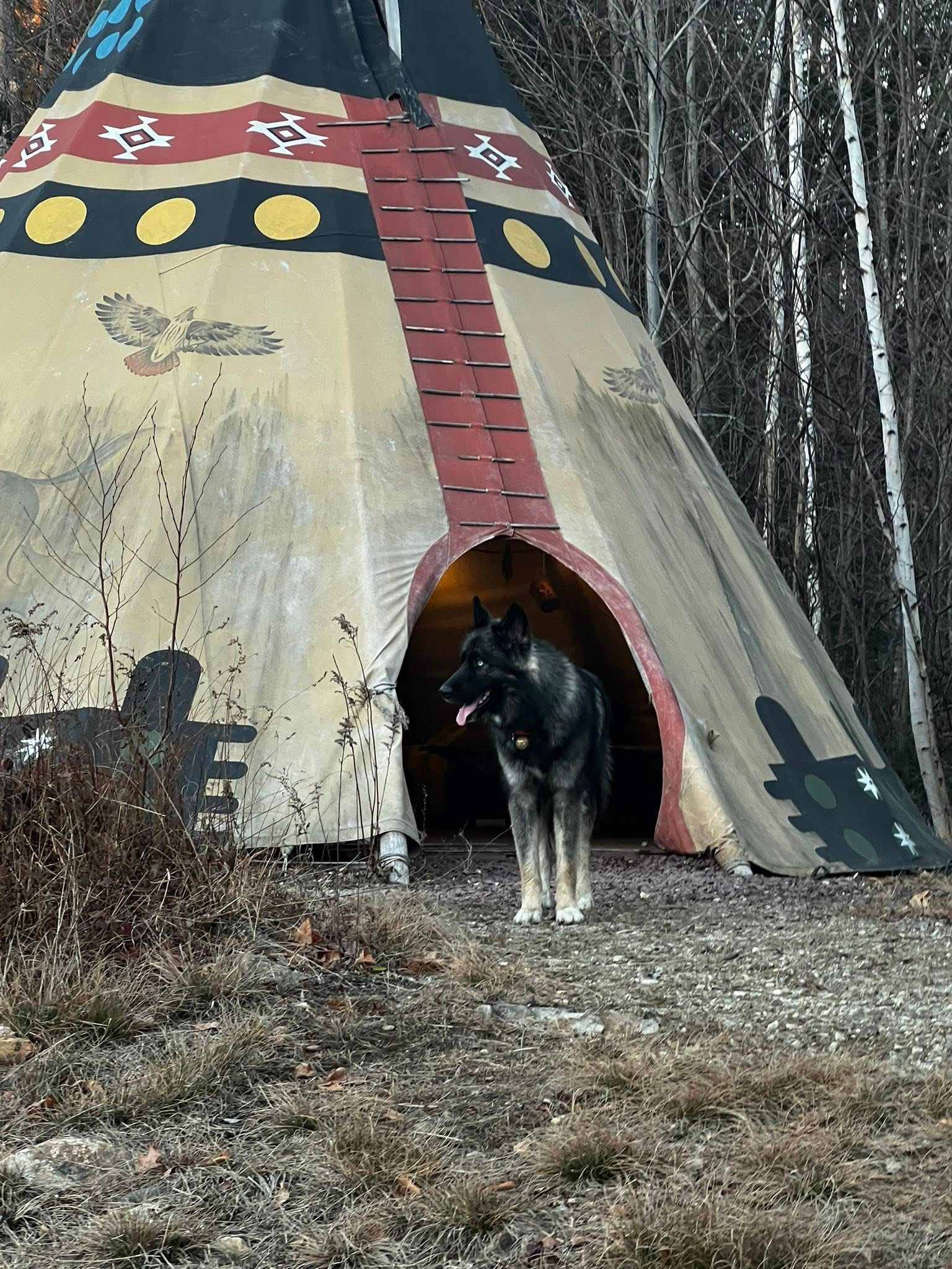 Salamander Hollow Healing Habitat