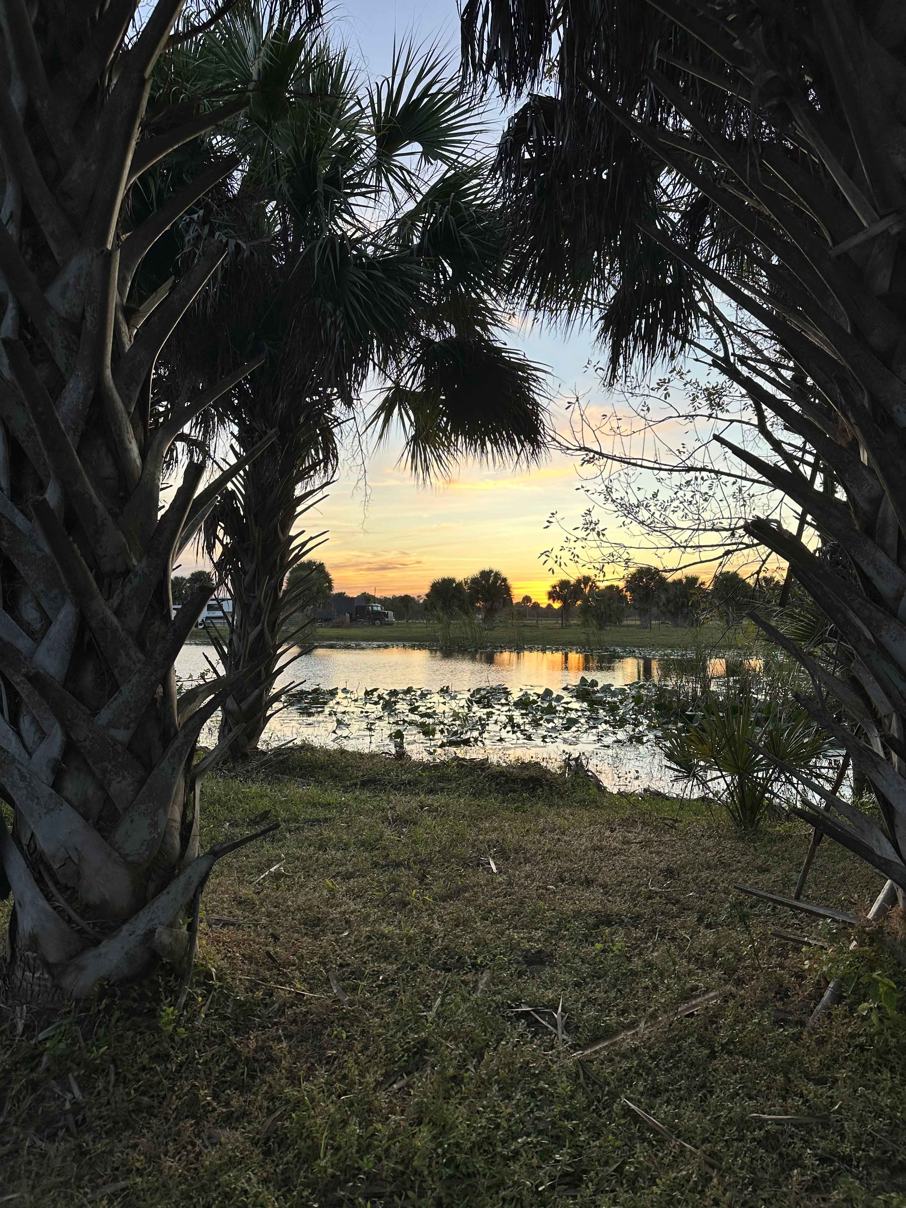 Blue Fox Ranch: Lake & Farm Camp
