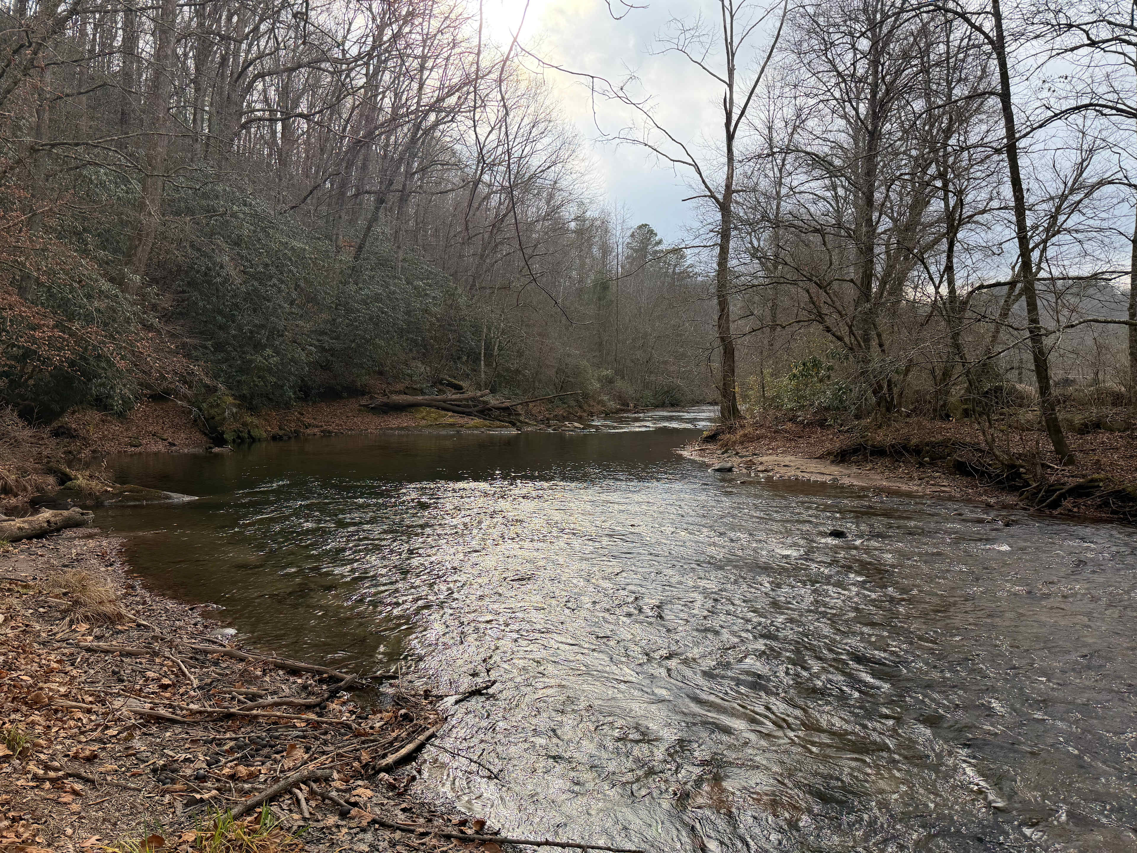 Primitive River Farm