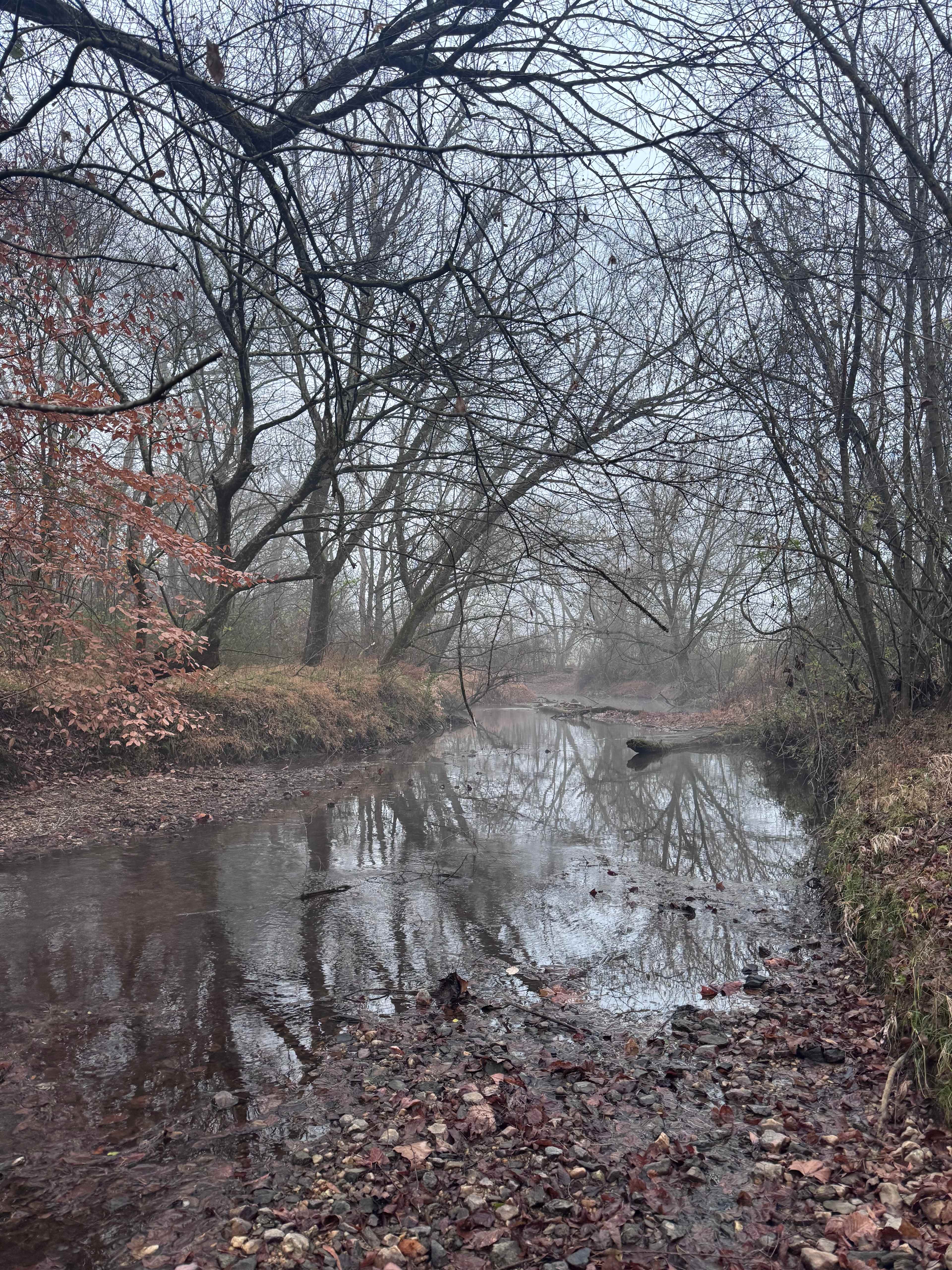The Oasis at Harmon Creek Farms