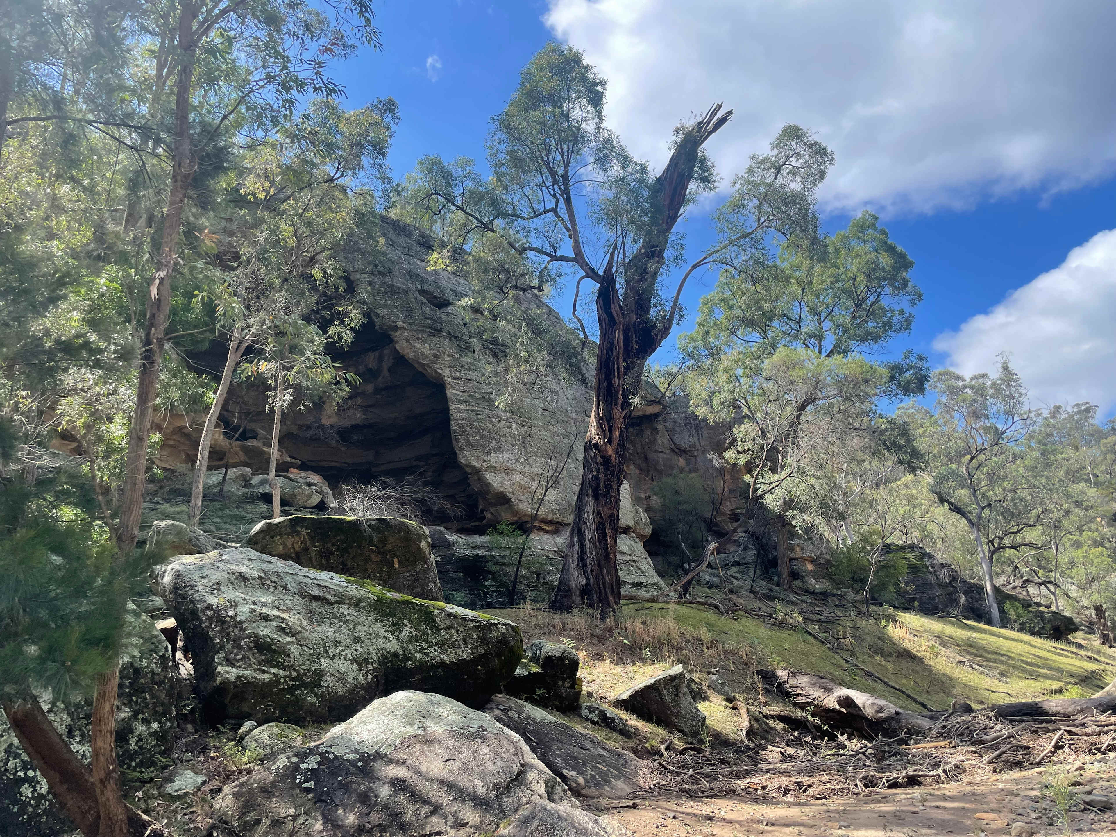 Hillside Camp on Bow River