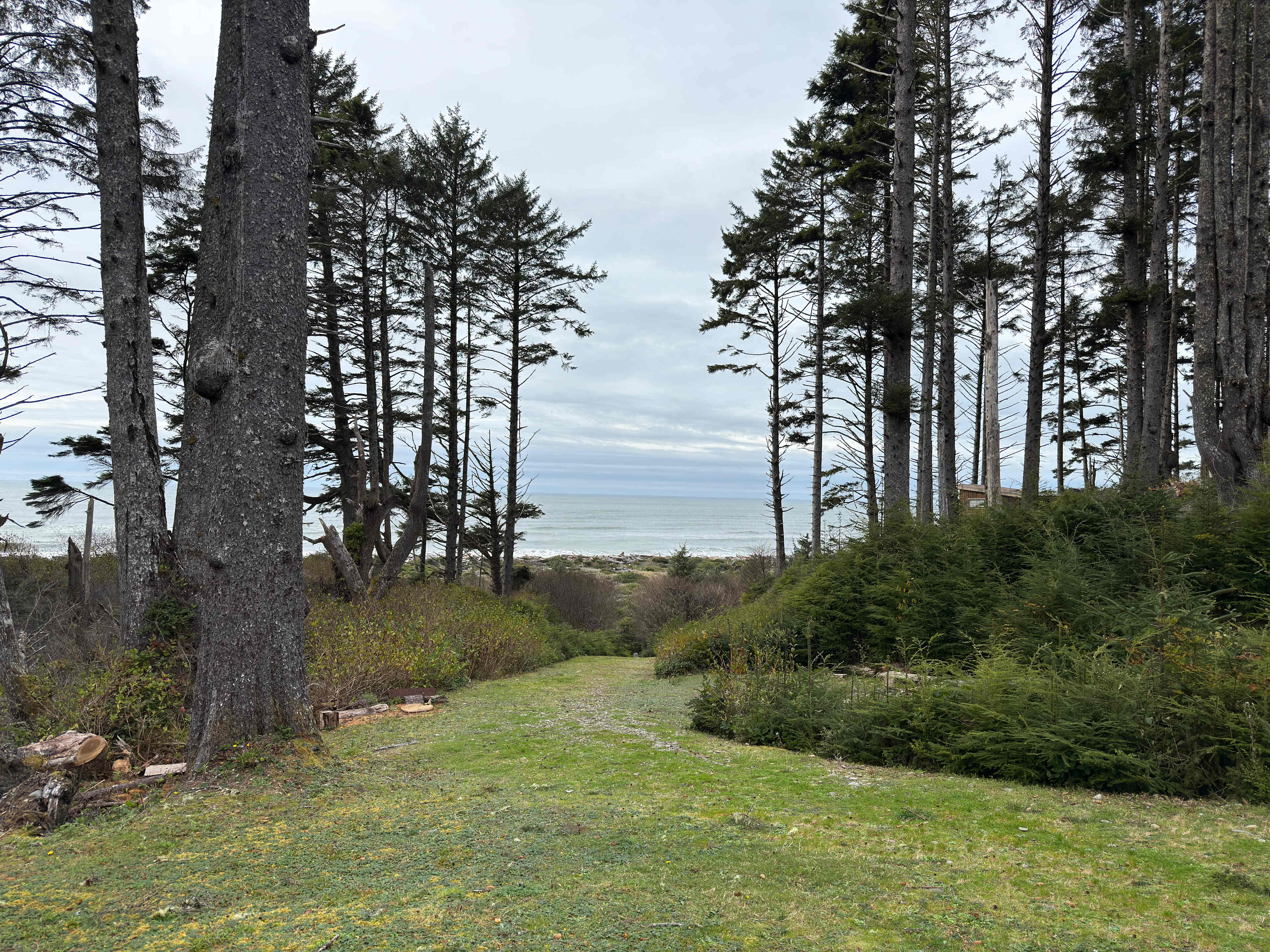 Wild WA Coast Lookout ($75 - $125)