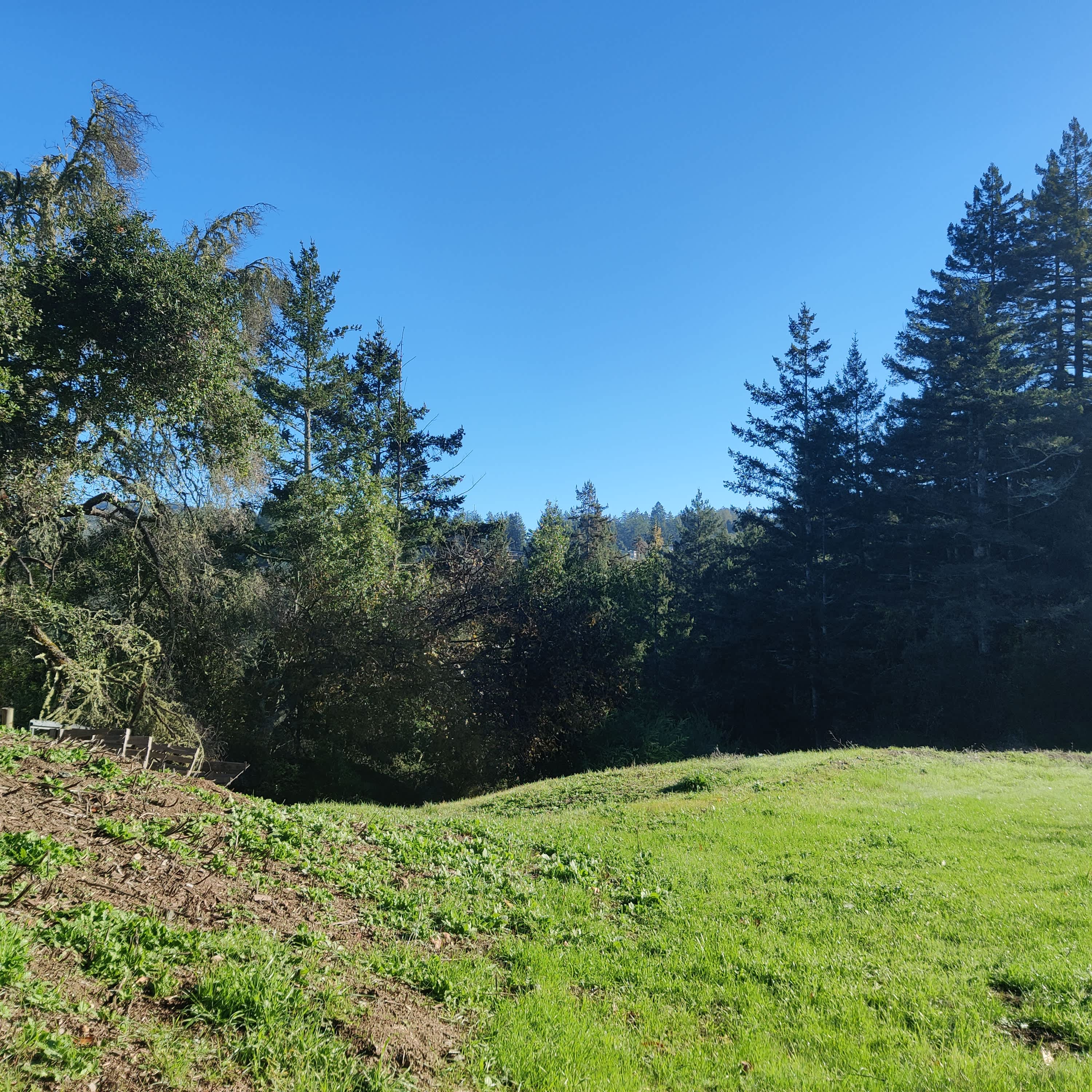 Santa Cruz Mountain Camping