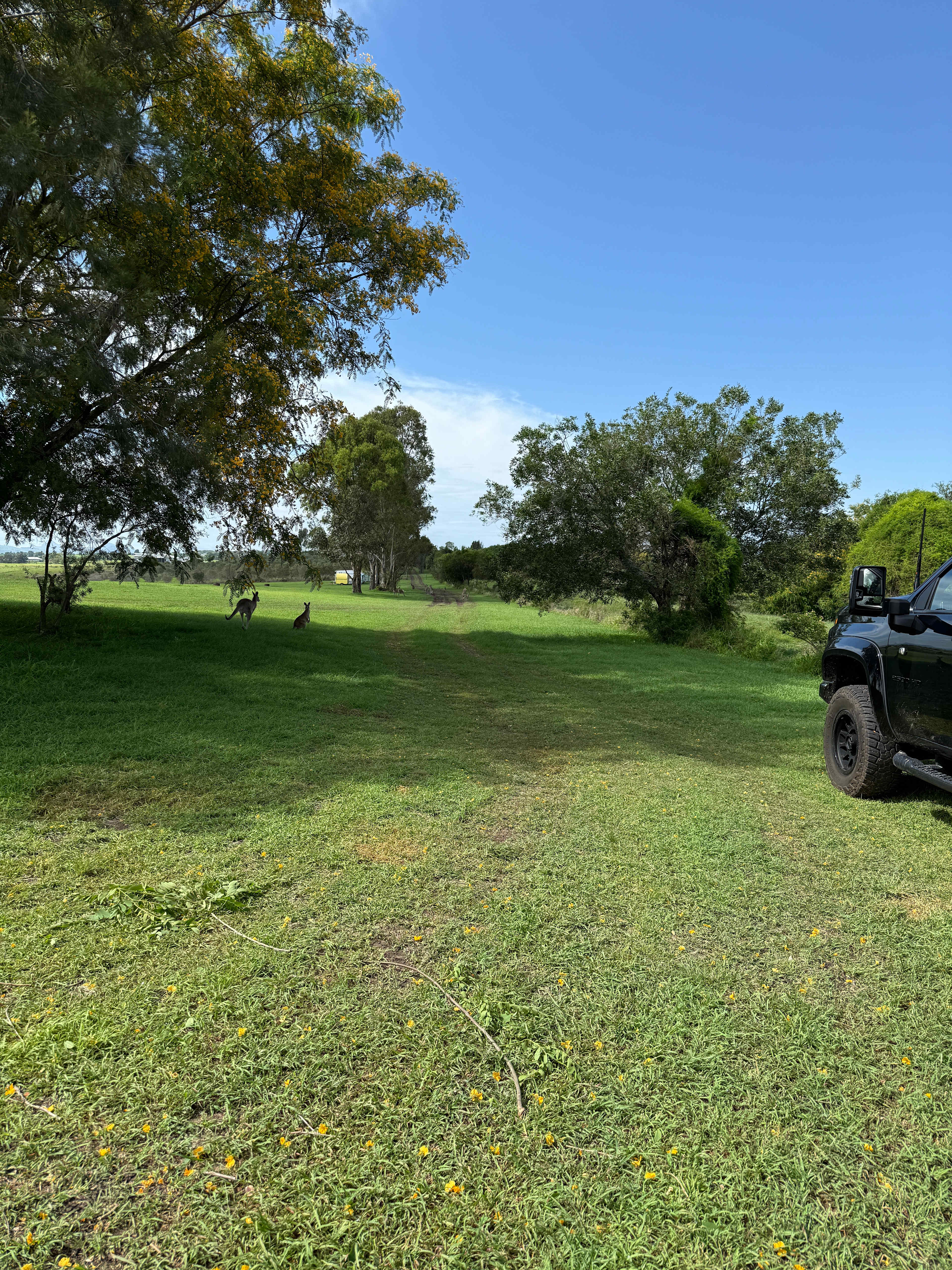 Olive View Estate - Stunning Views