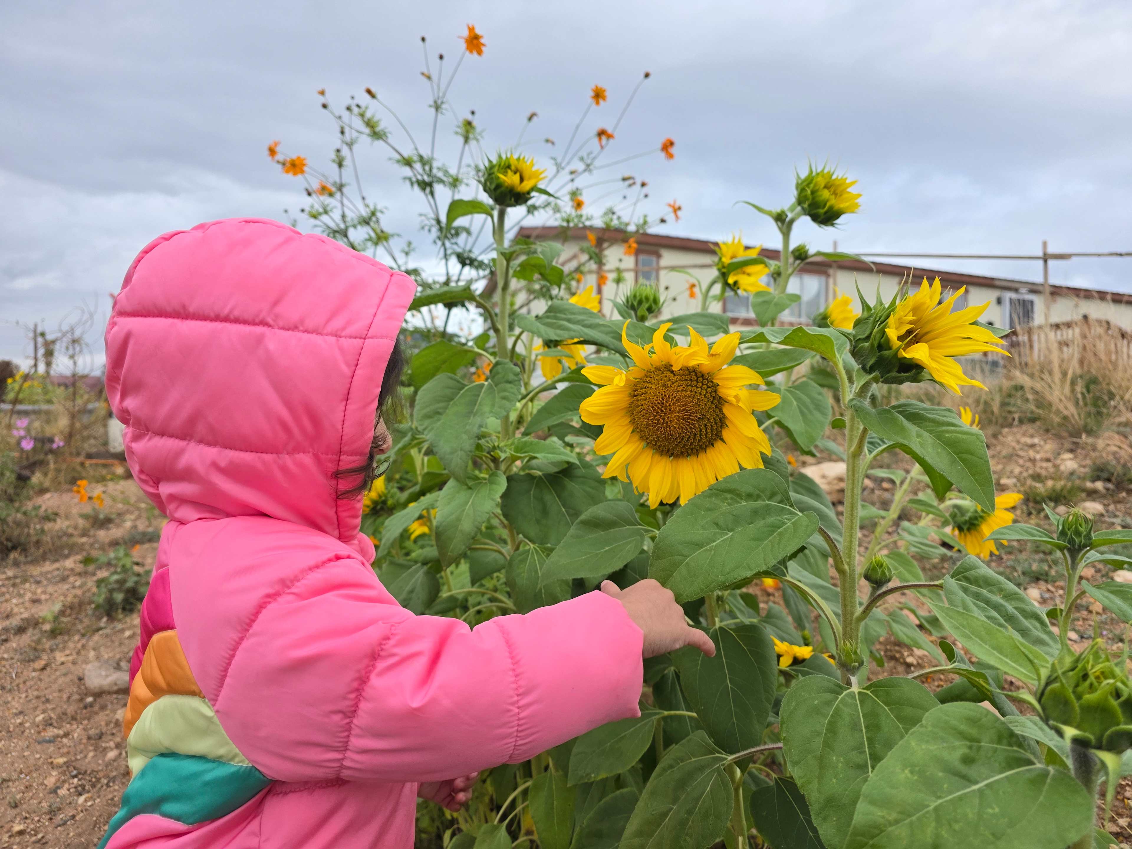 A Quiet Place Near Sedona