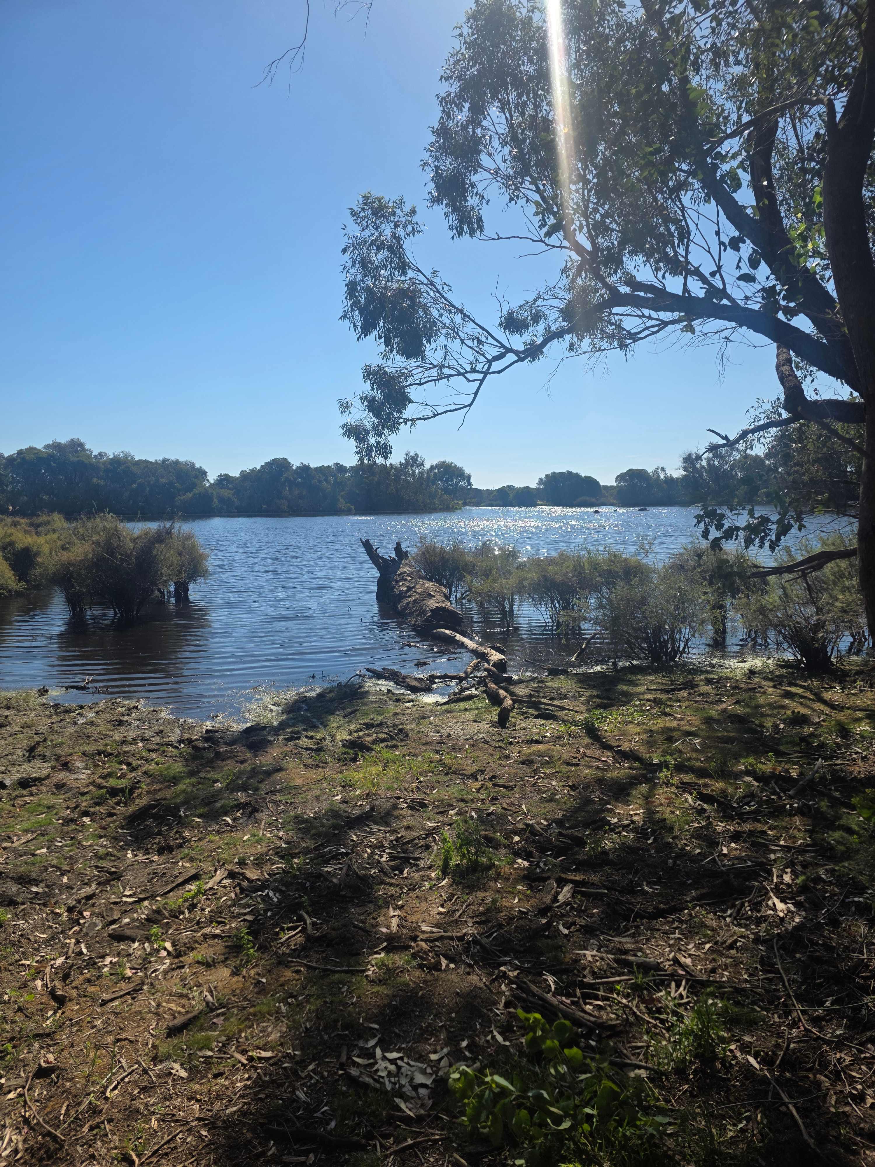 Herron Point Farm Stay