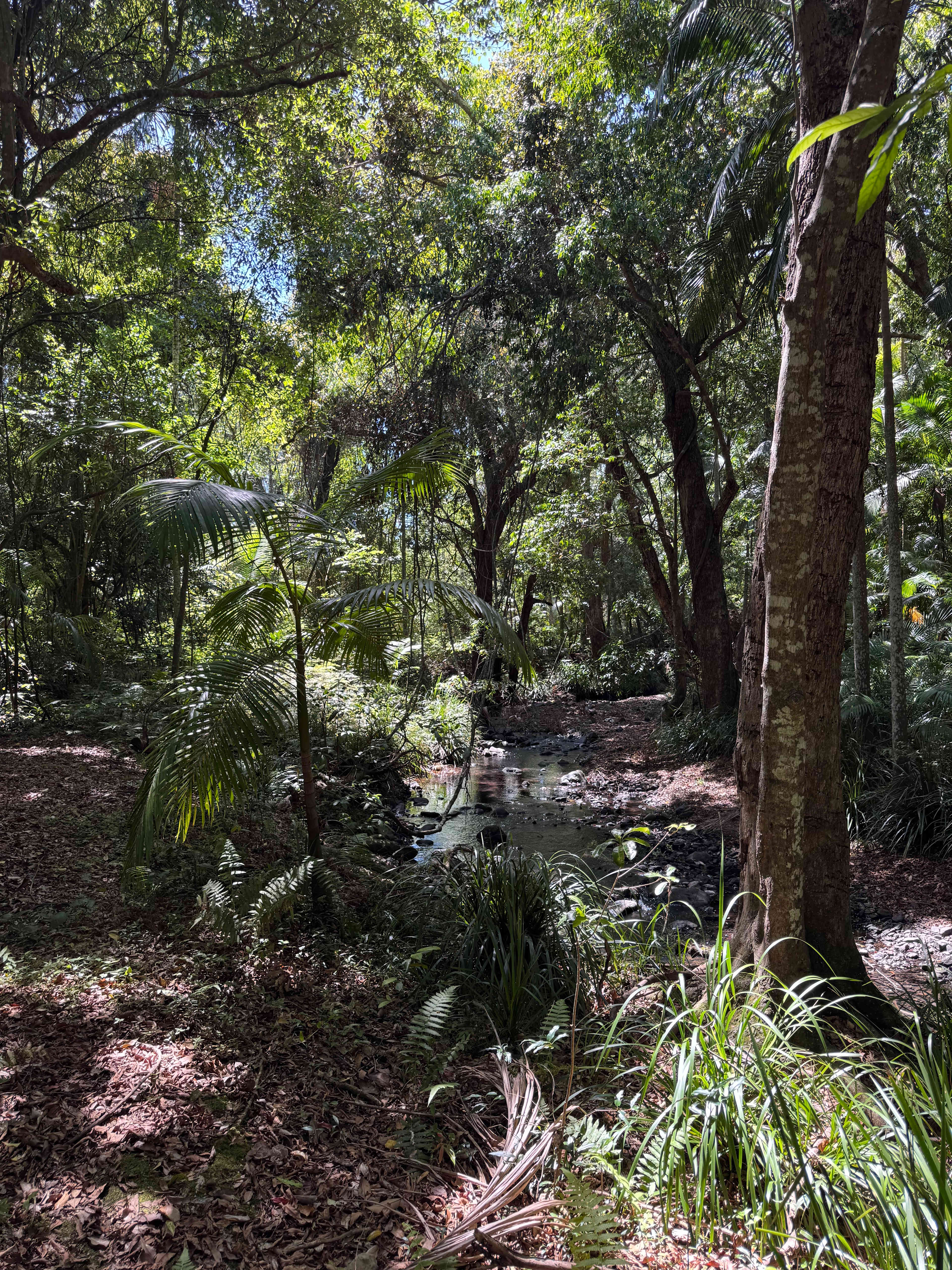 A Place To Call Home