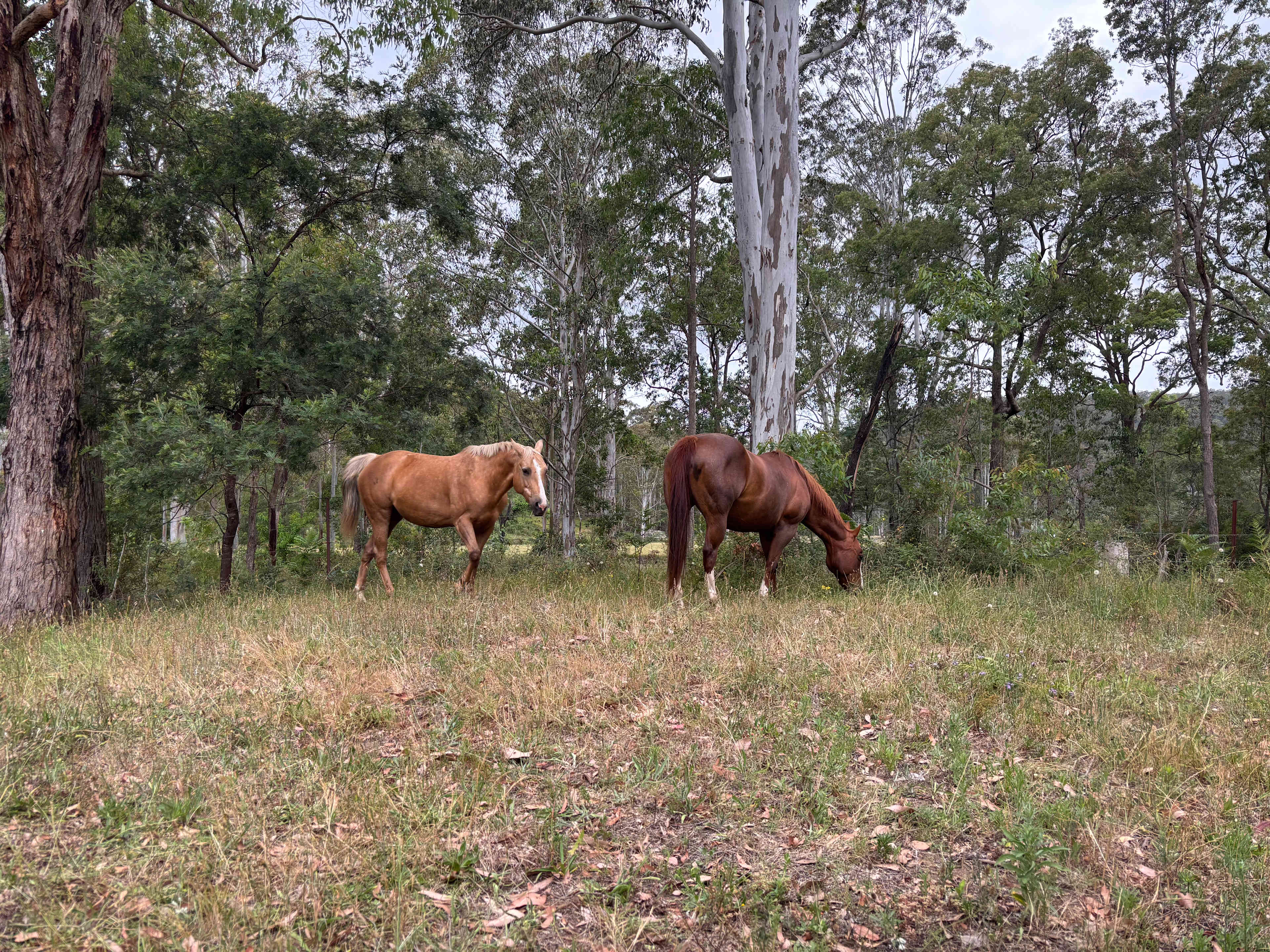 Cranky Rock Hunter Valley