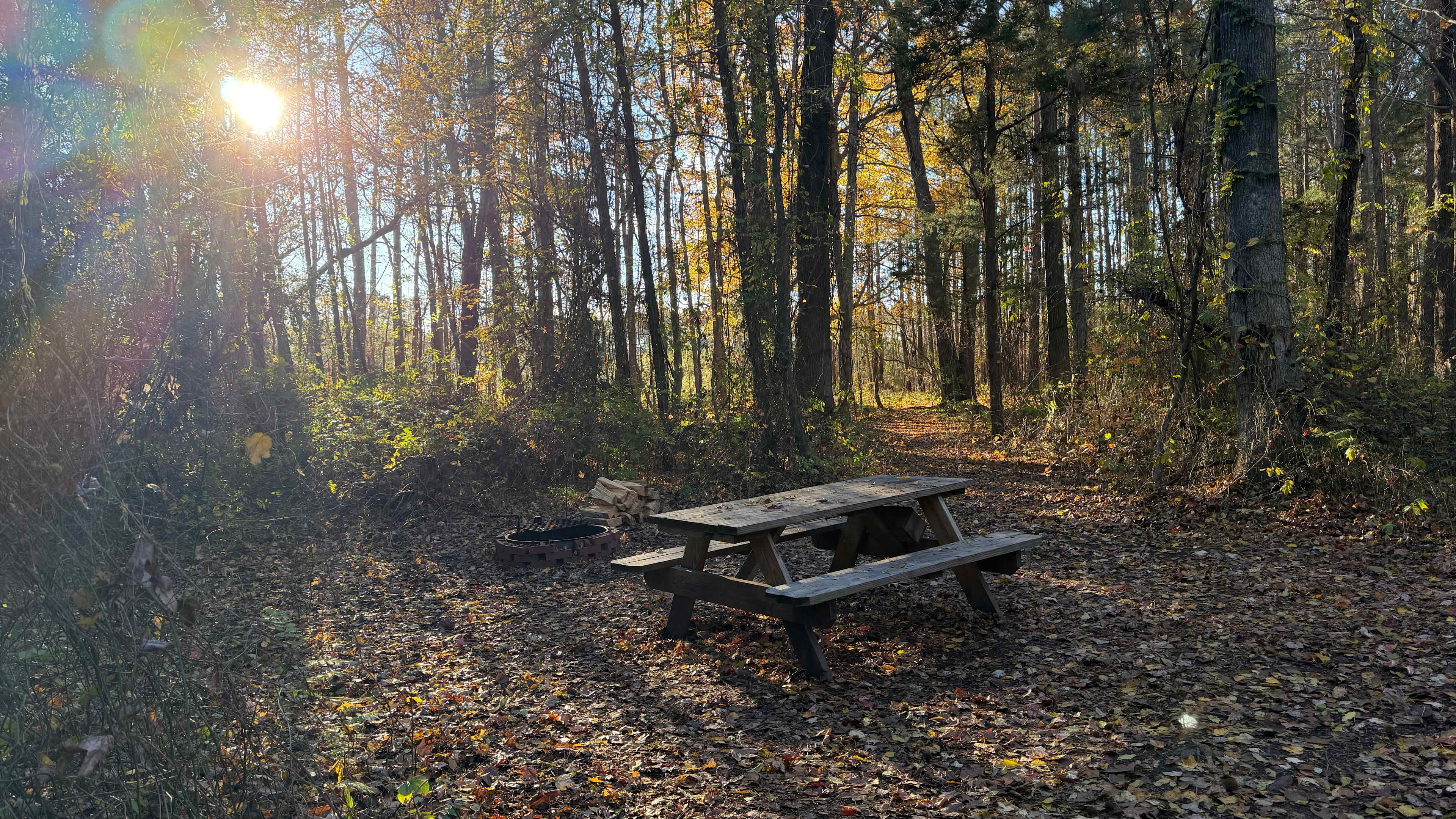 The Guinea Farm, Field, and Forest