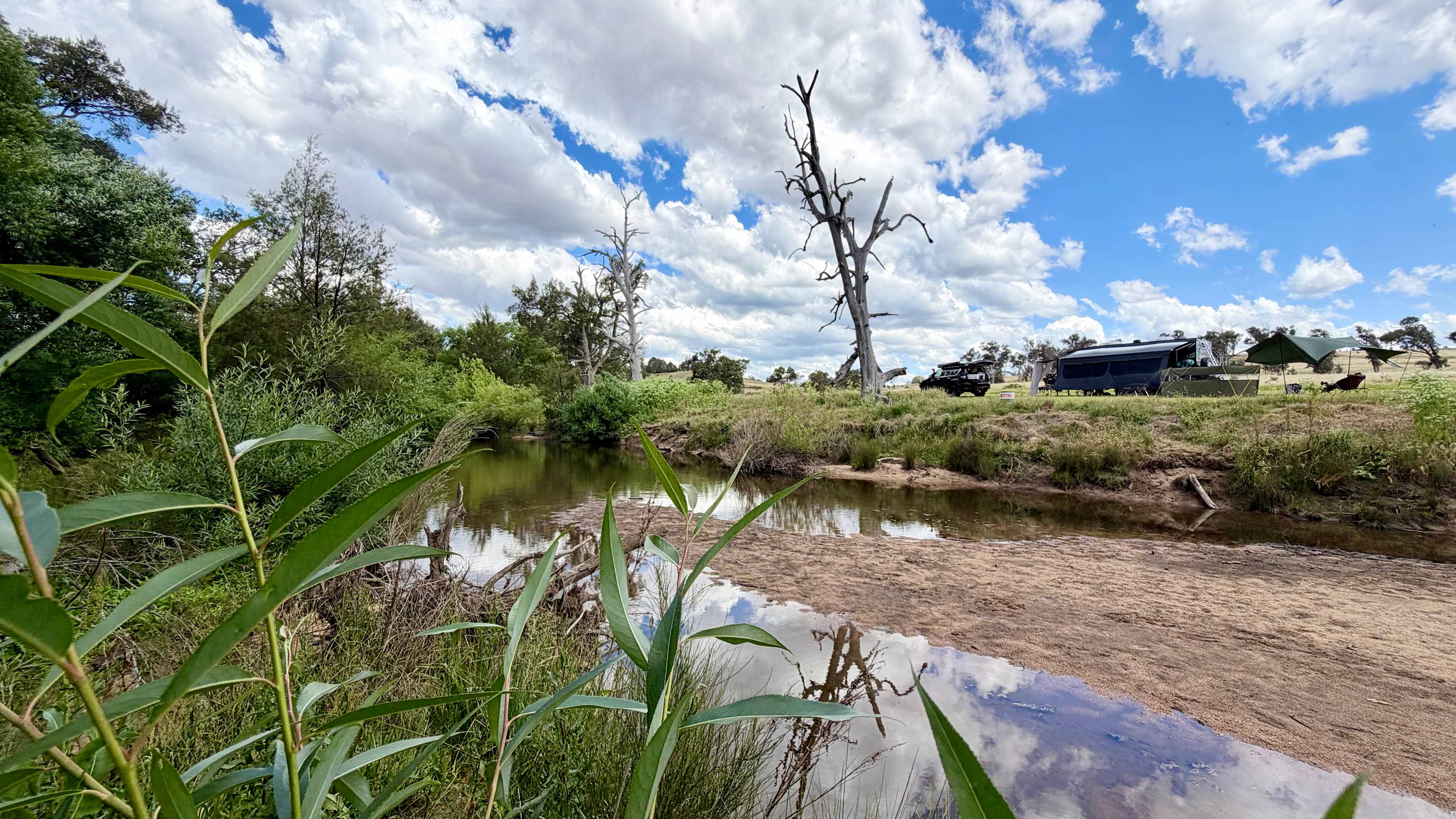 Windy Oaks Farm, O'Connell