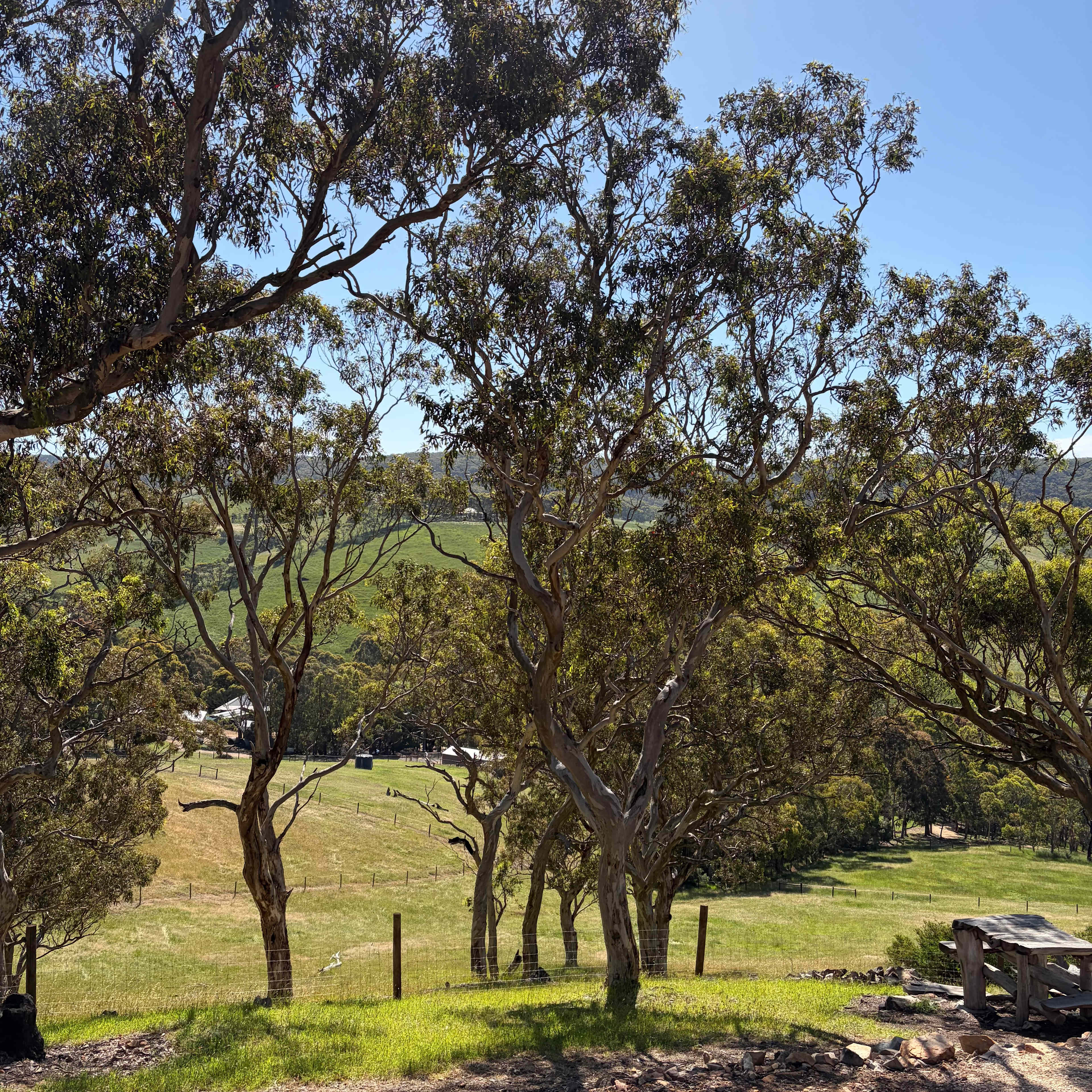 Noorla Farm (Happy Camping Ground)