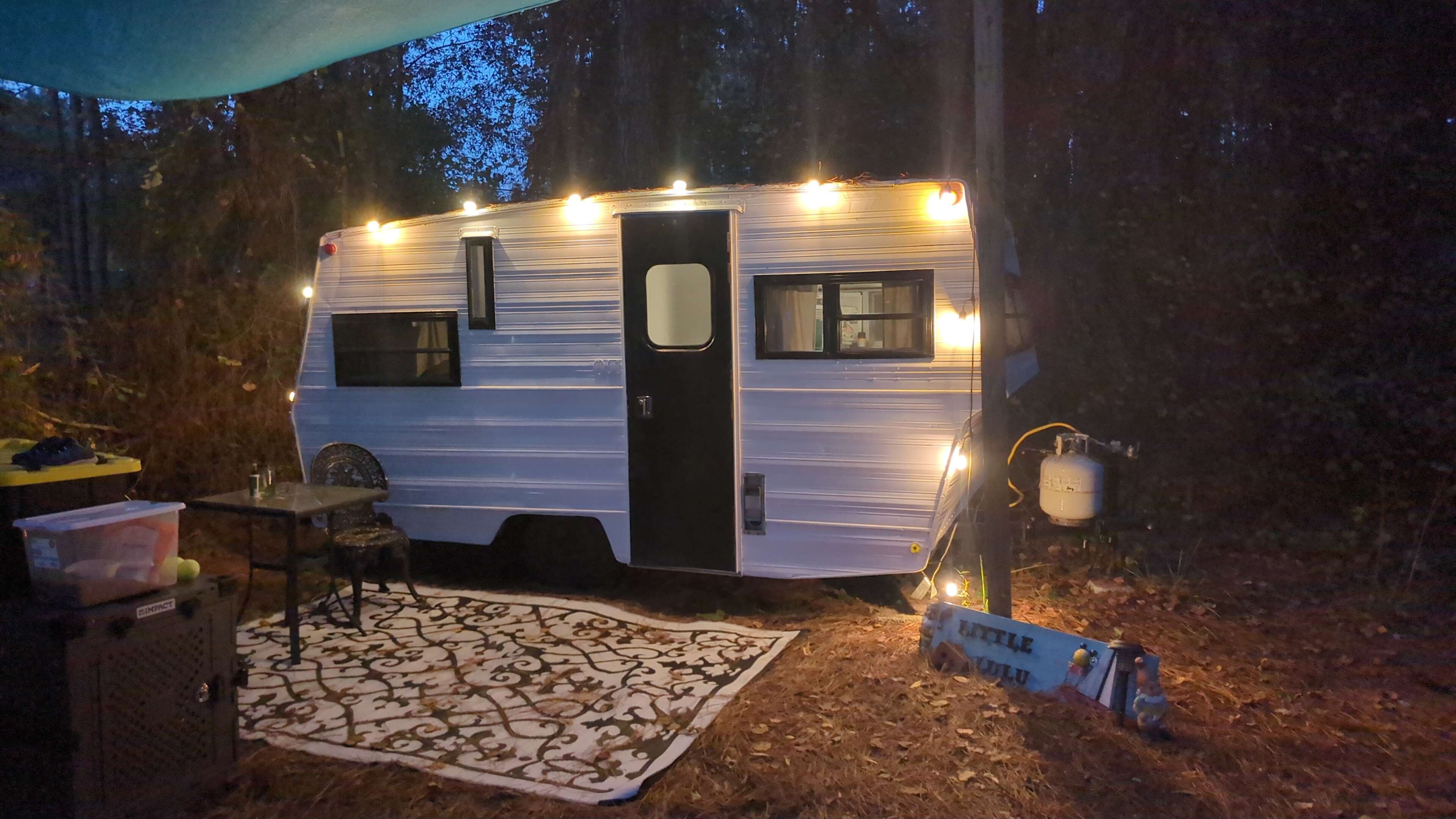 Serene Forested Blueberry Farm