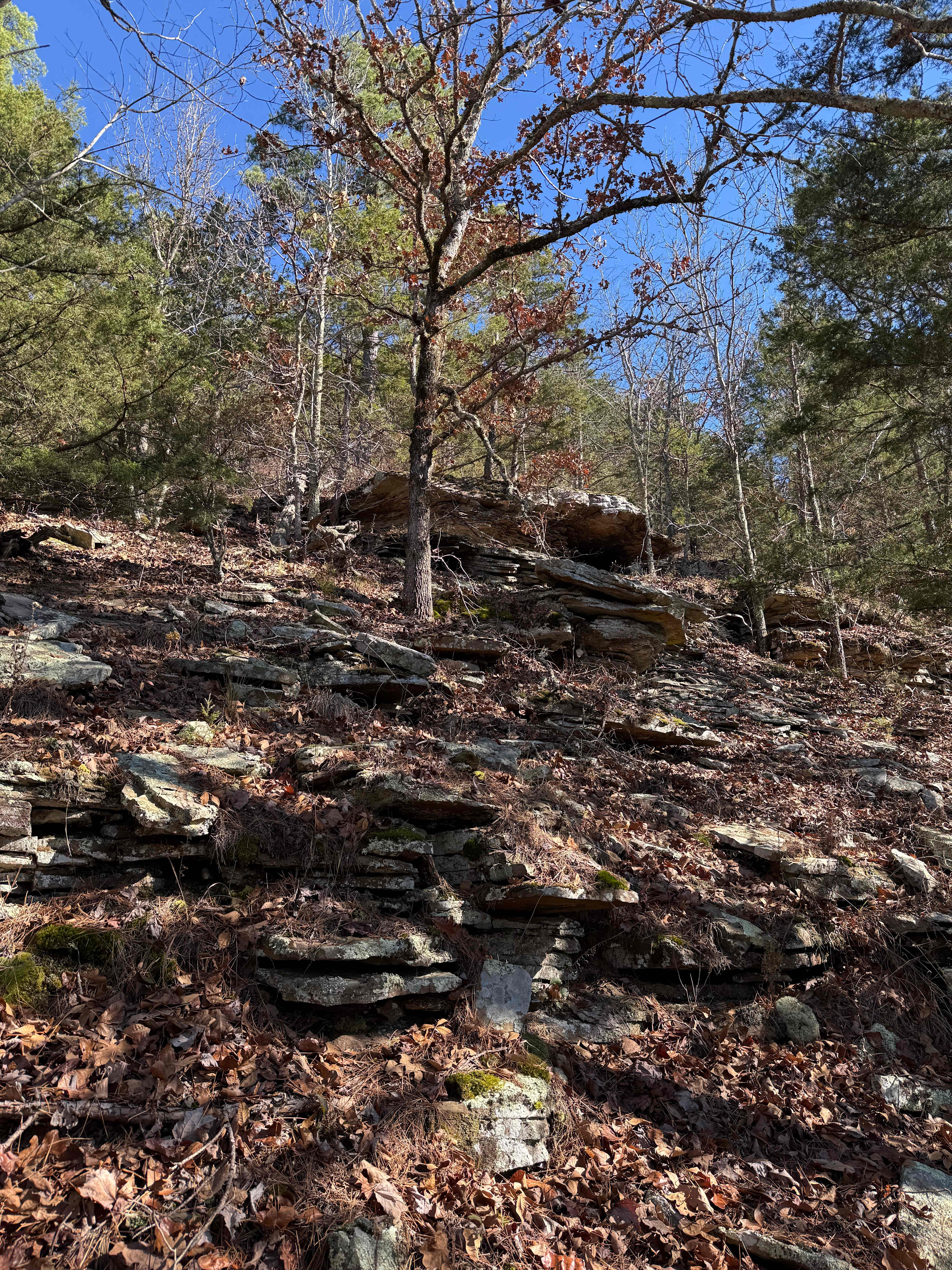 Harper Bluff & Numu Coffee Roastery