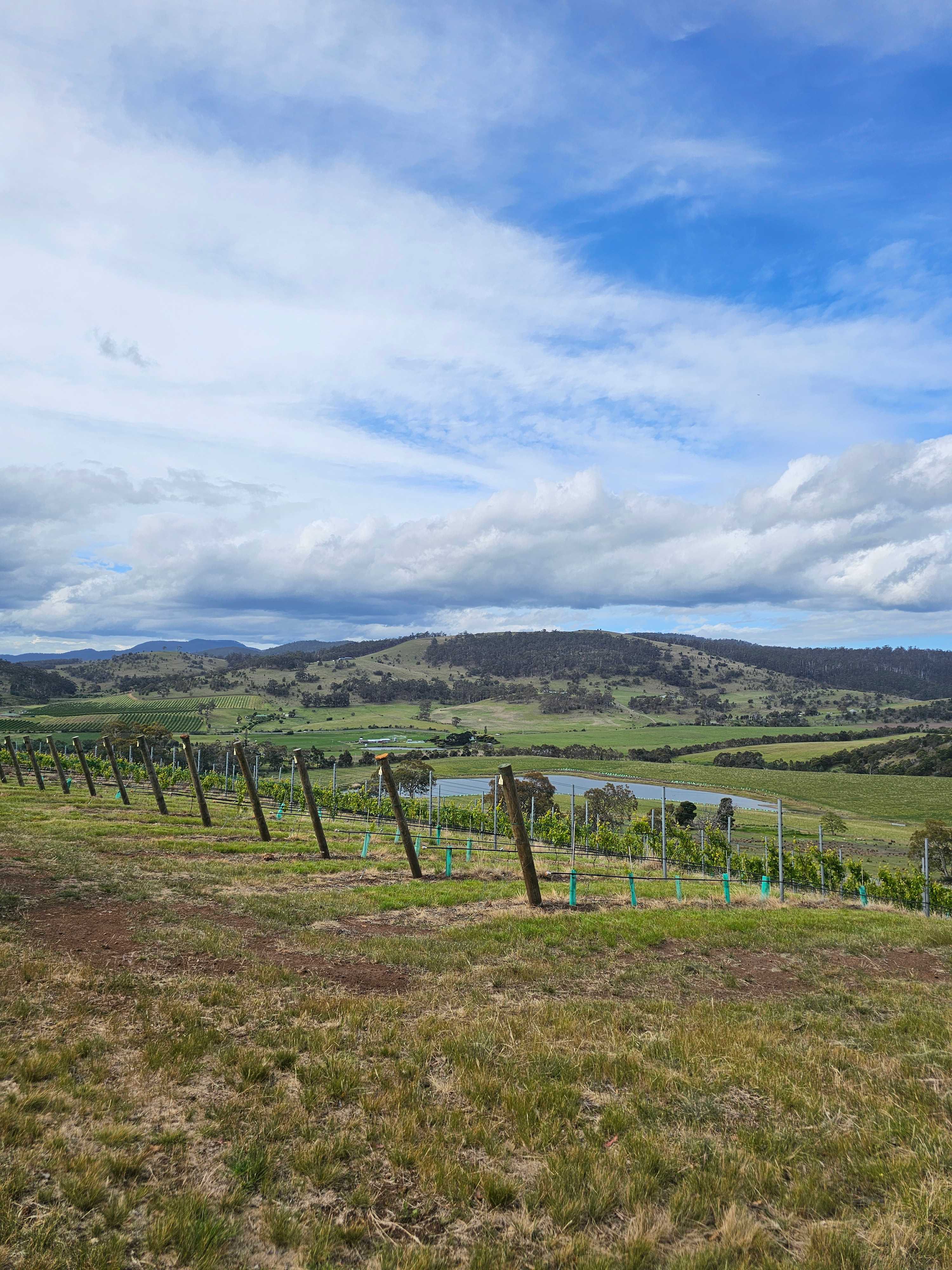 Prossers Ridge Richmond