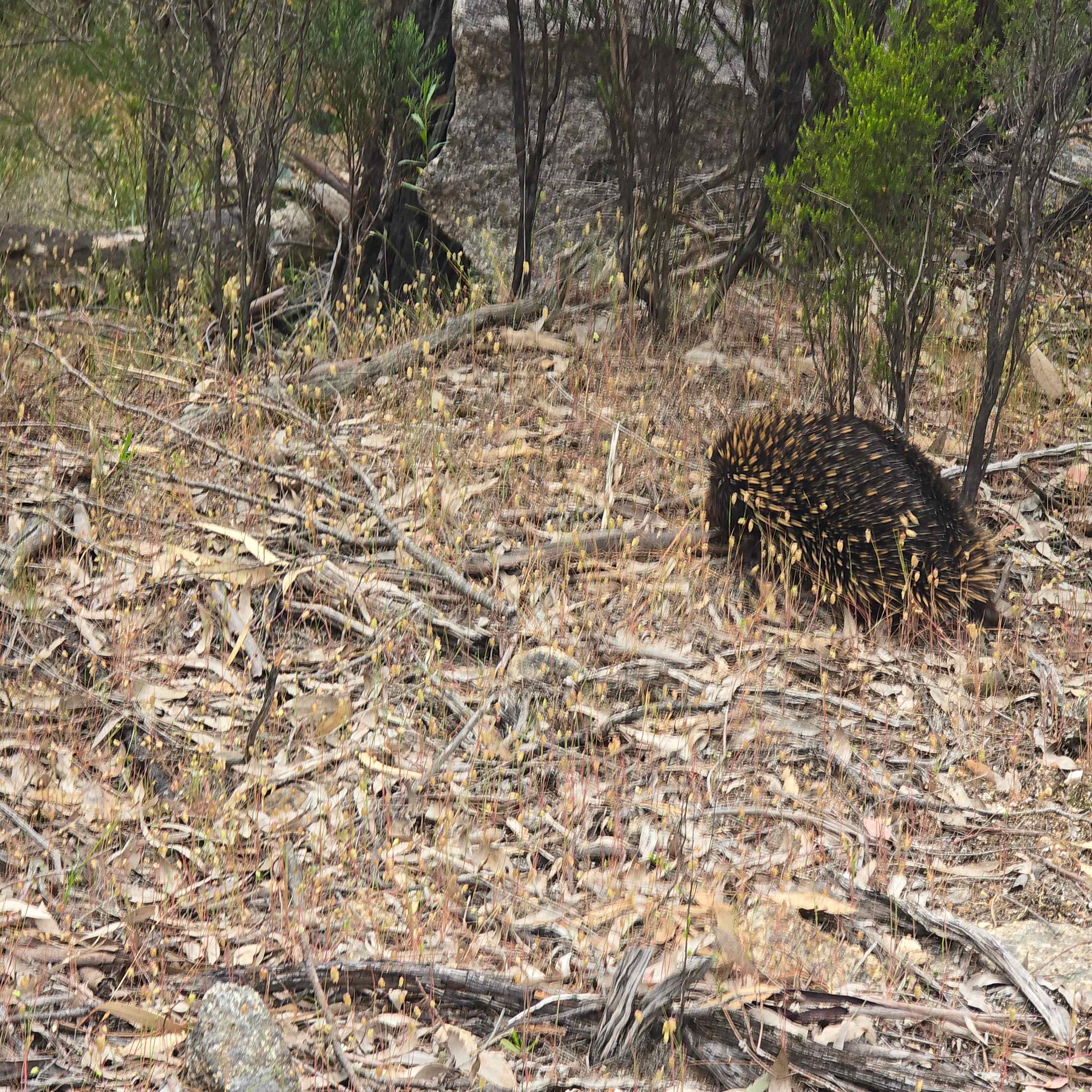 Retreat to Granite Springs Farmstay