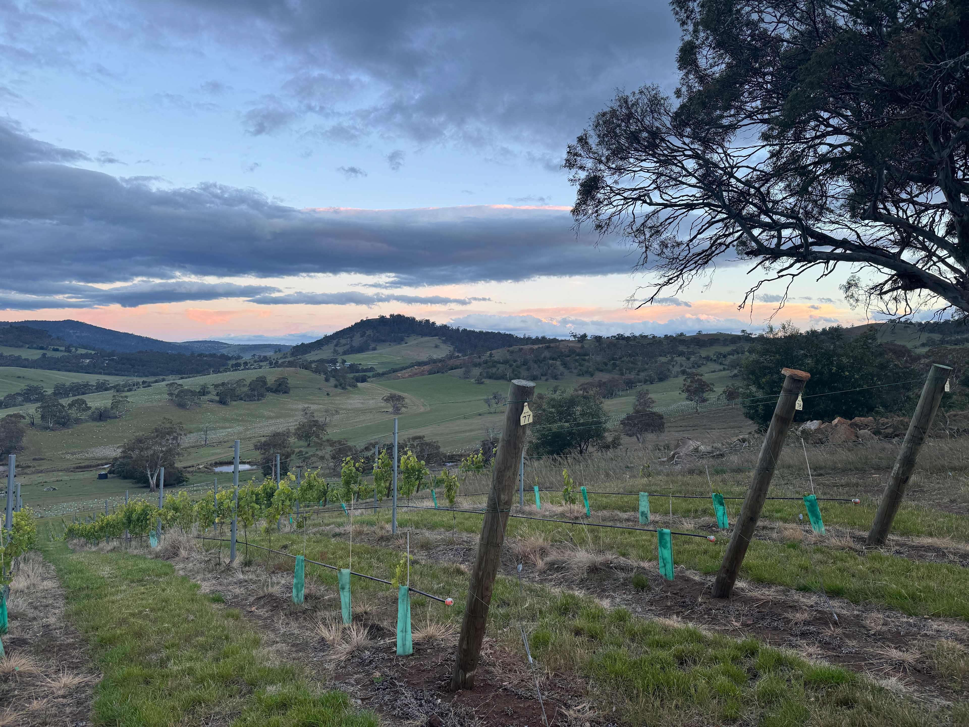 Prossers Ridge Richmond