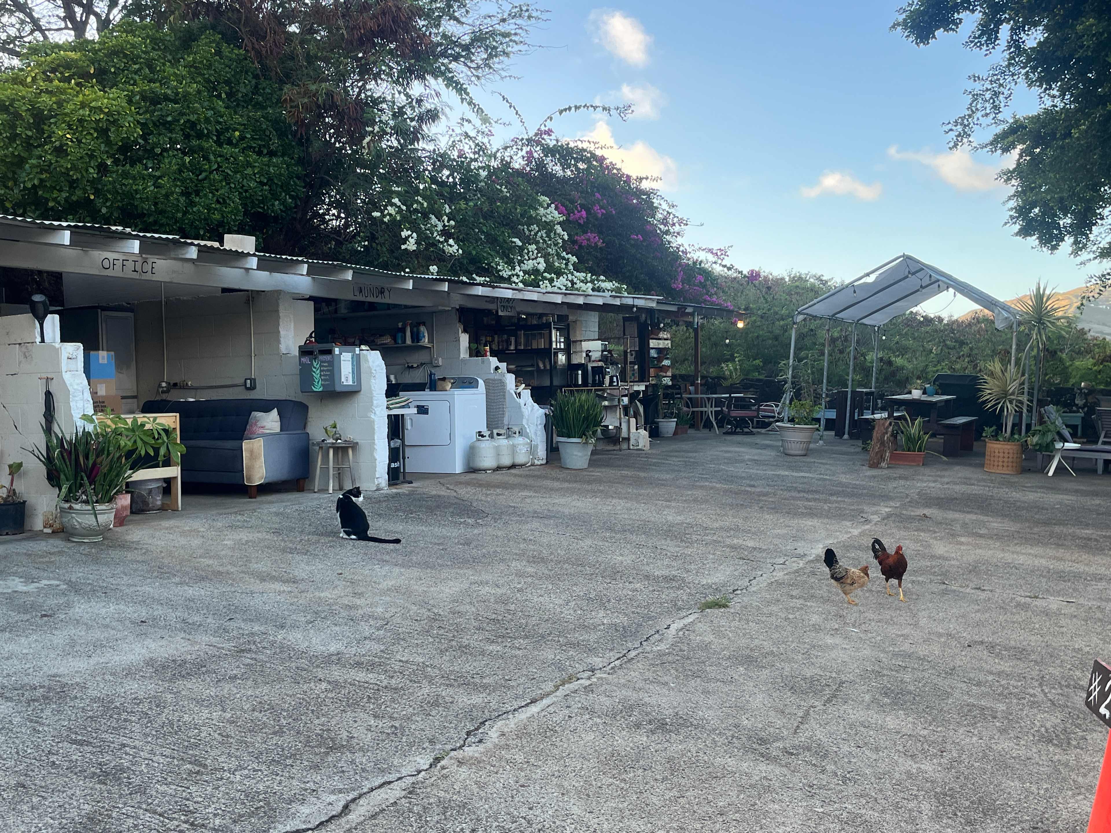 Sun Farm Hawaii @ Koko Head