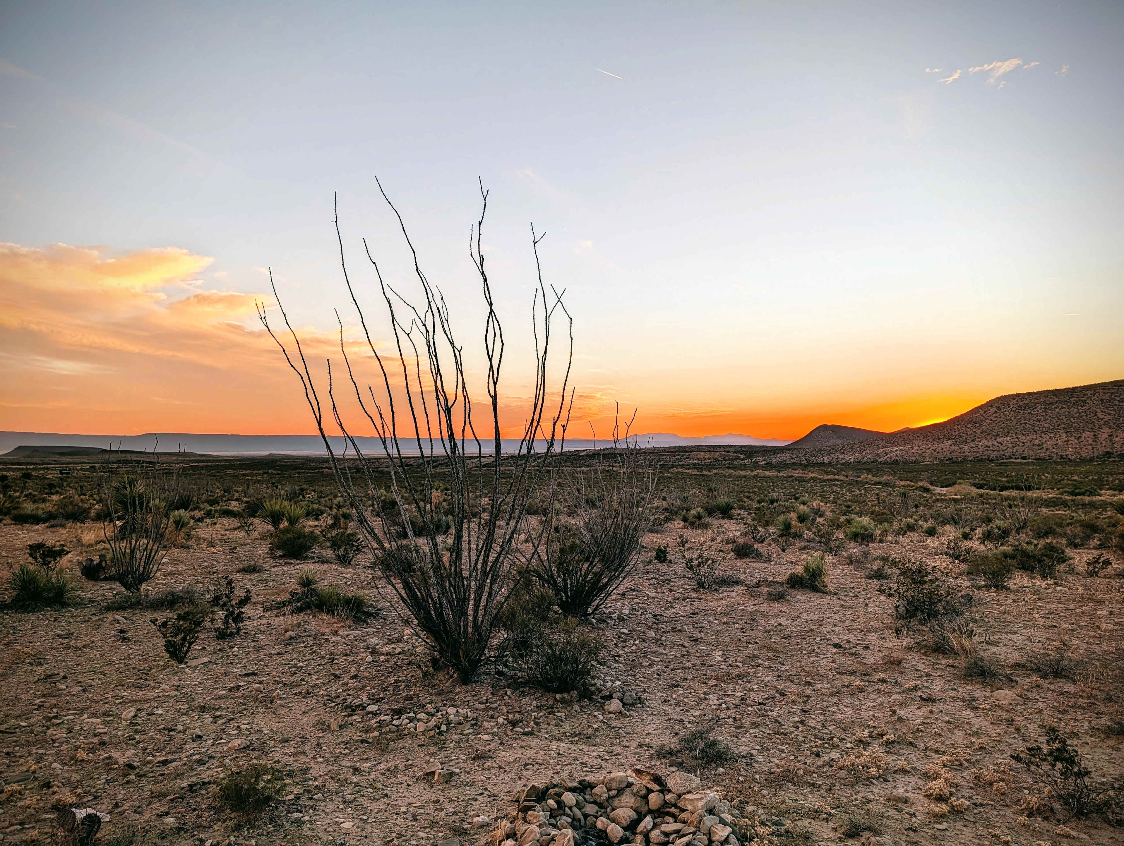 Looking west at sunset