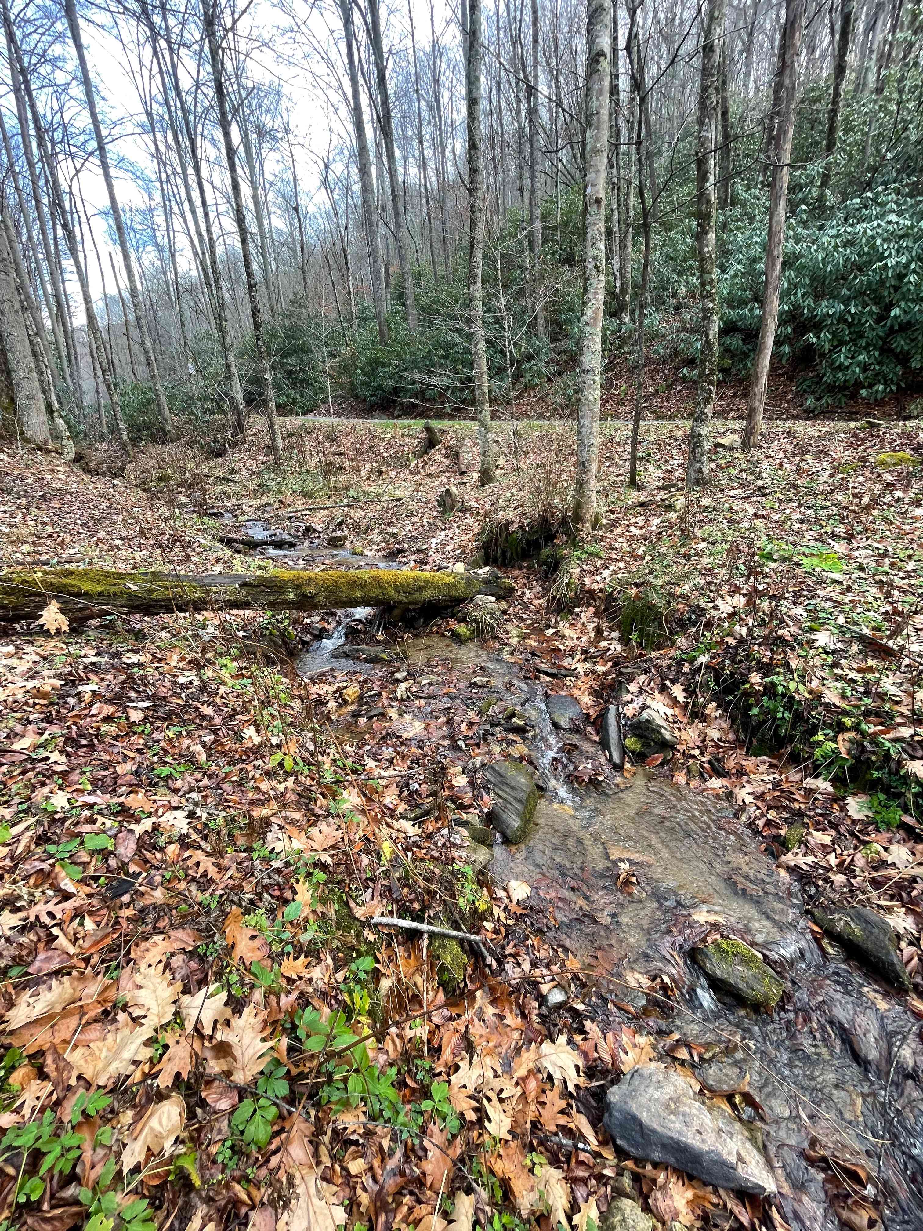 Creekside Camping Max Patch