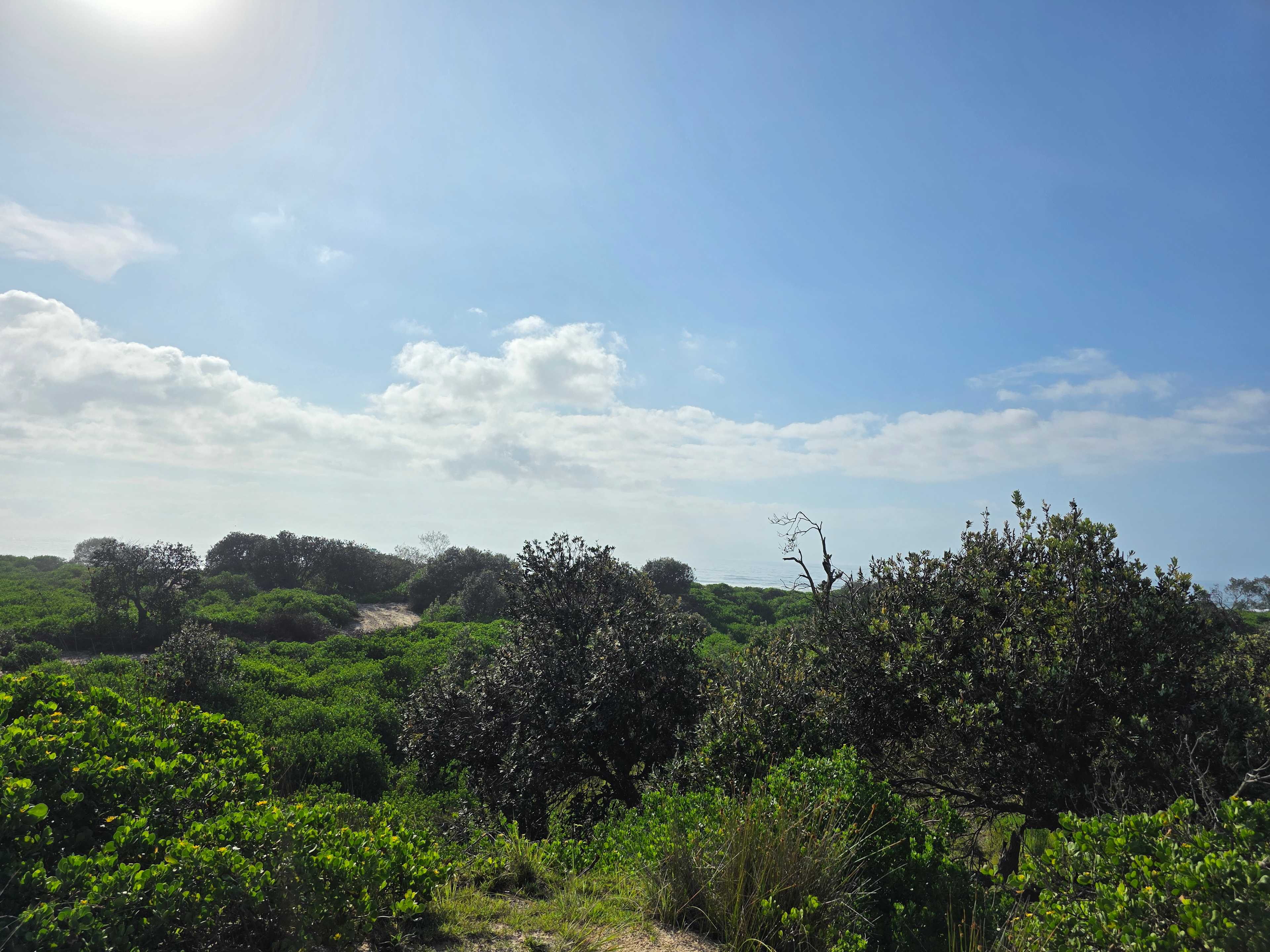 Absolute Beachfront Patchs Beach
