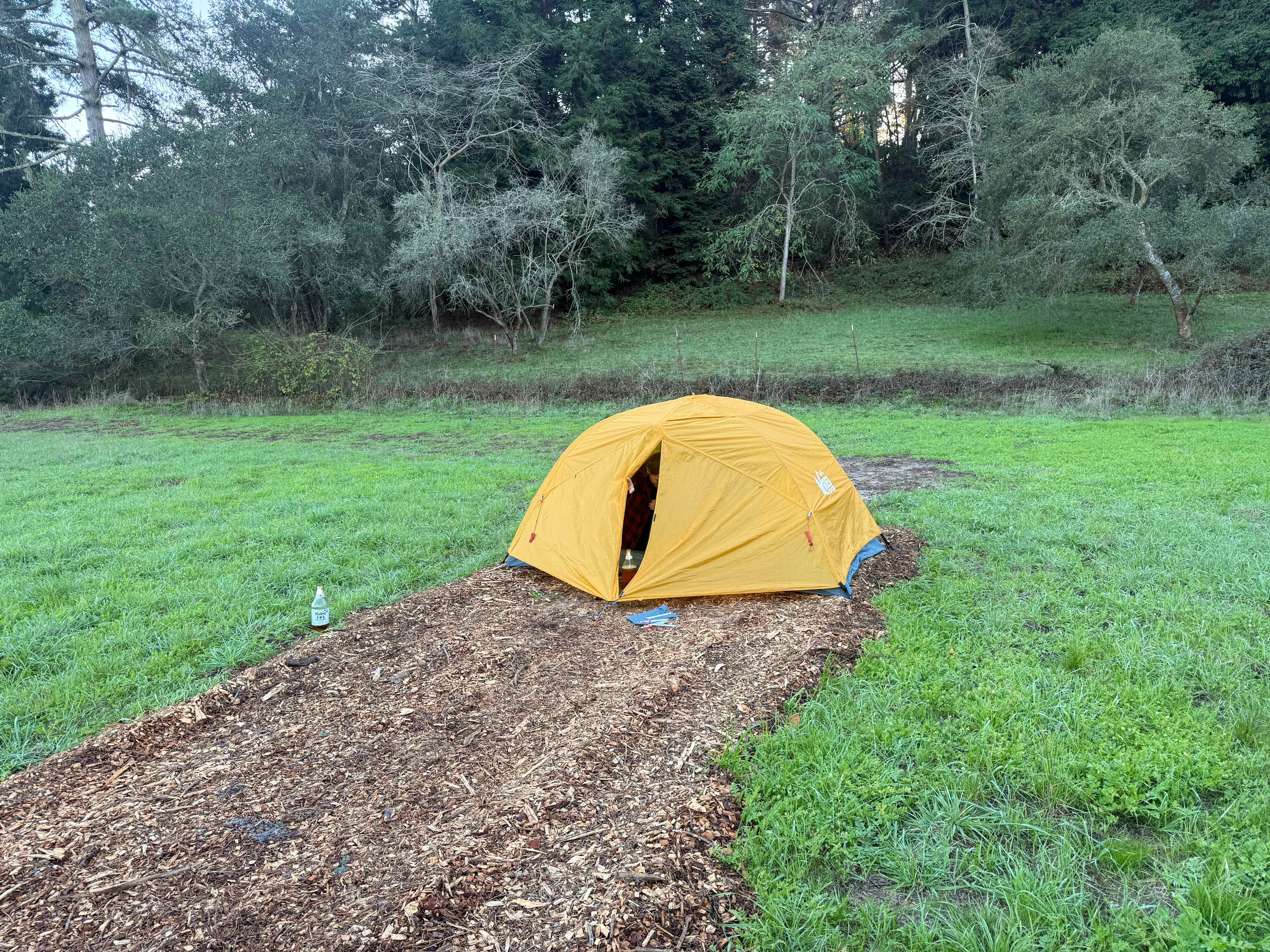 Country + Redwoods - Near beach!