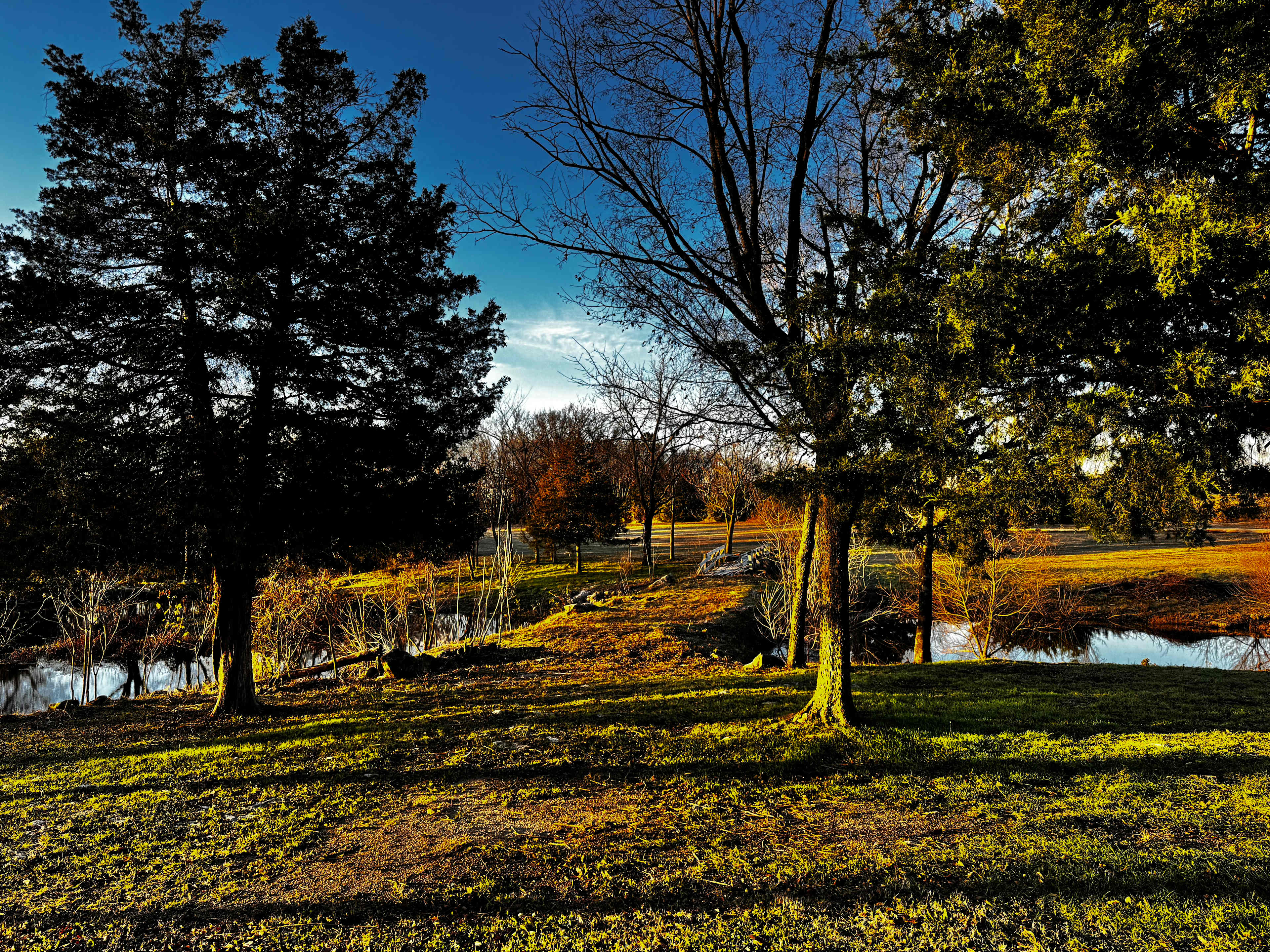 The Farm at Quail Valley