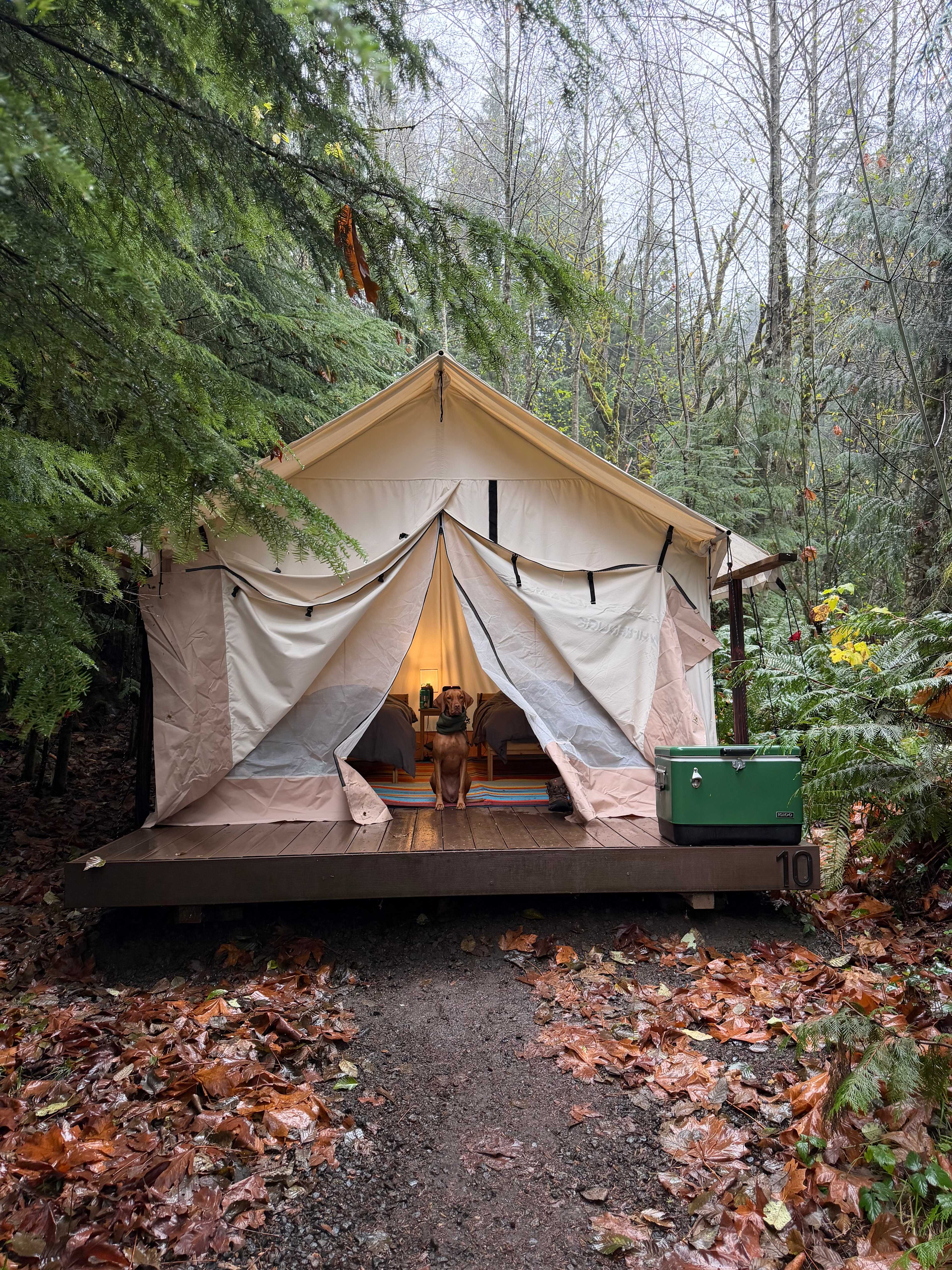 Front of the tent during the day ft @luce_thegoose1