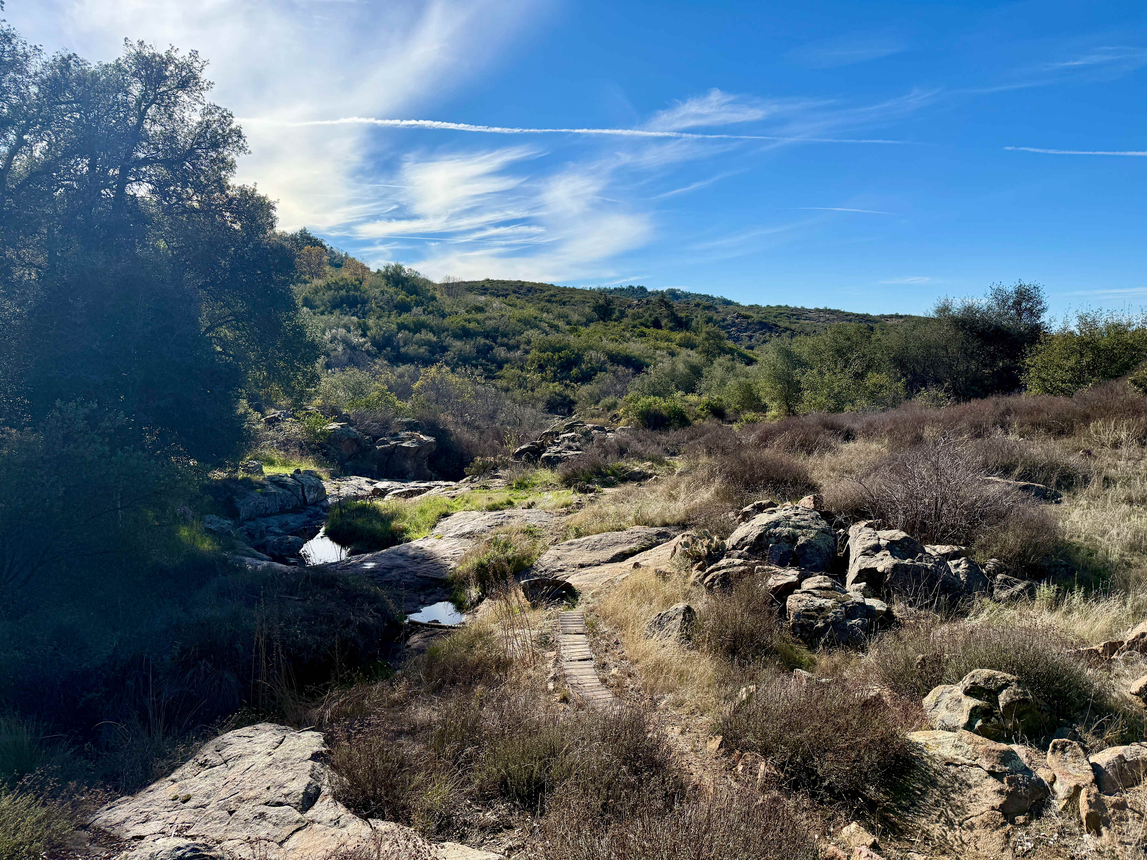 Svatantria Boutique Retreat