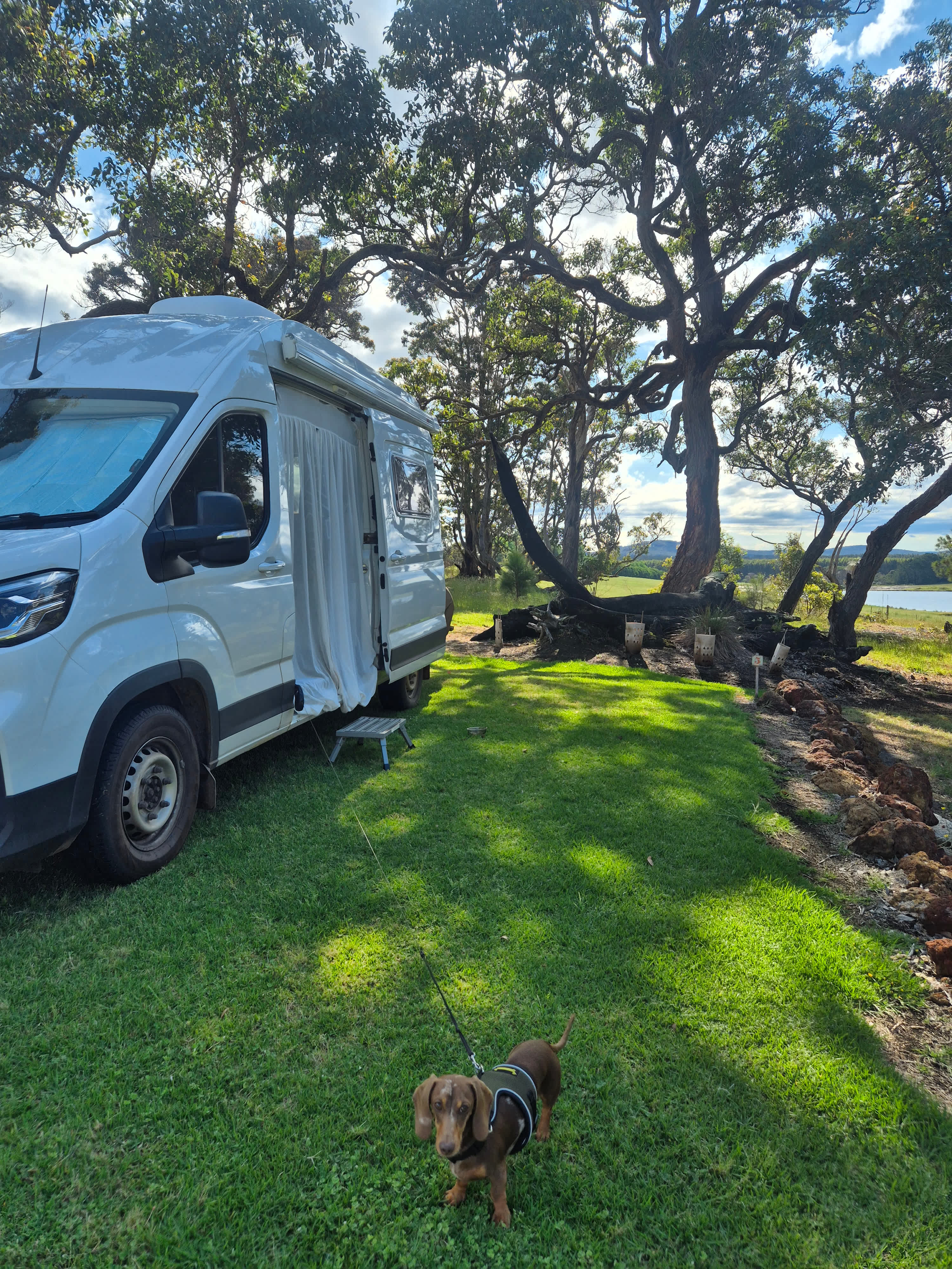 Denmark Farmhouse Cheese
