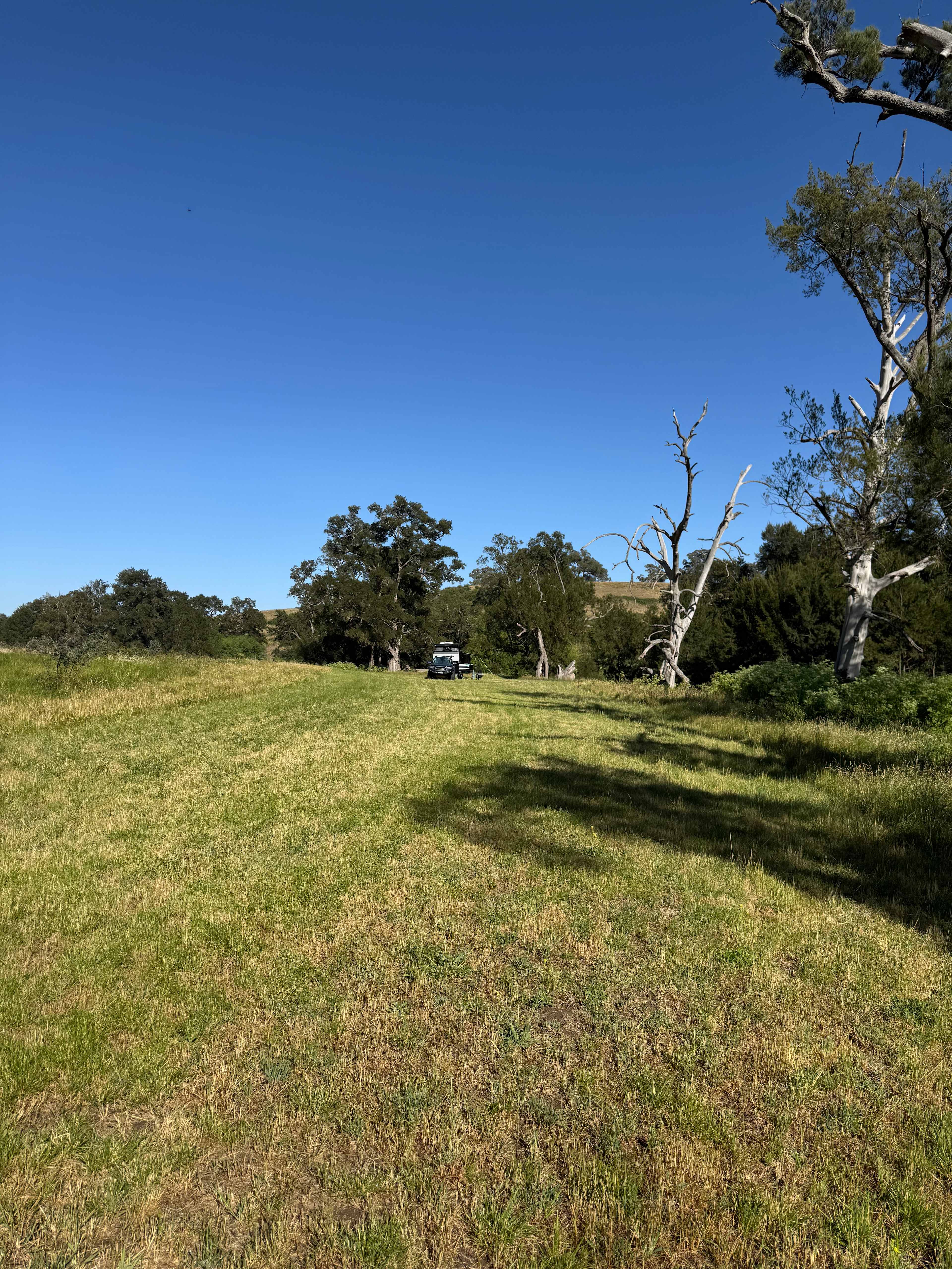 Windy Oaks Farm, O'Connell