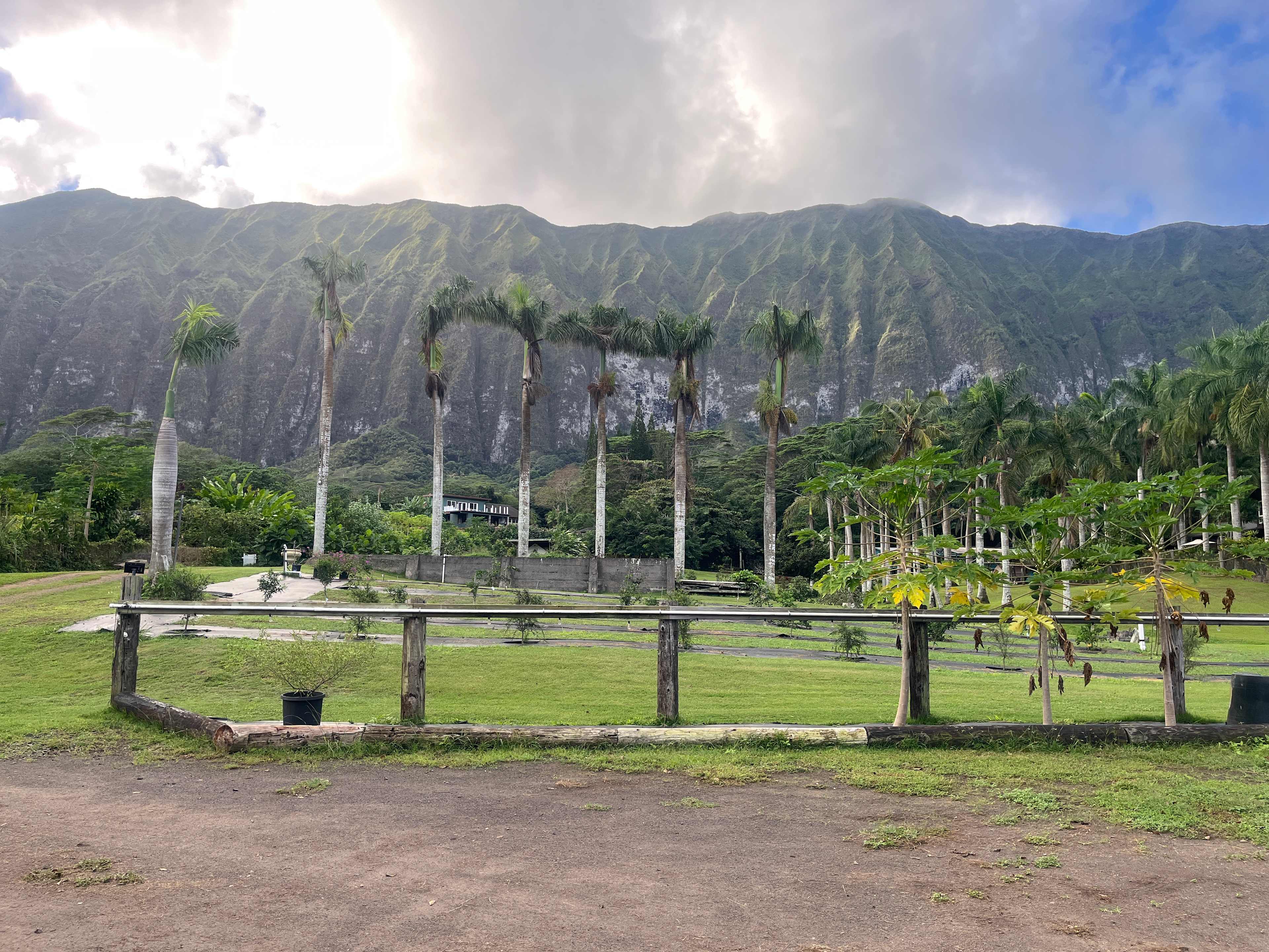 Beautiful mountain View 