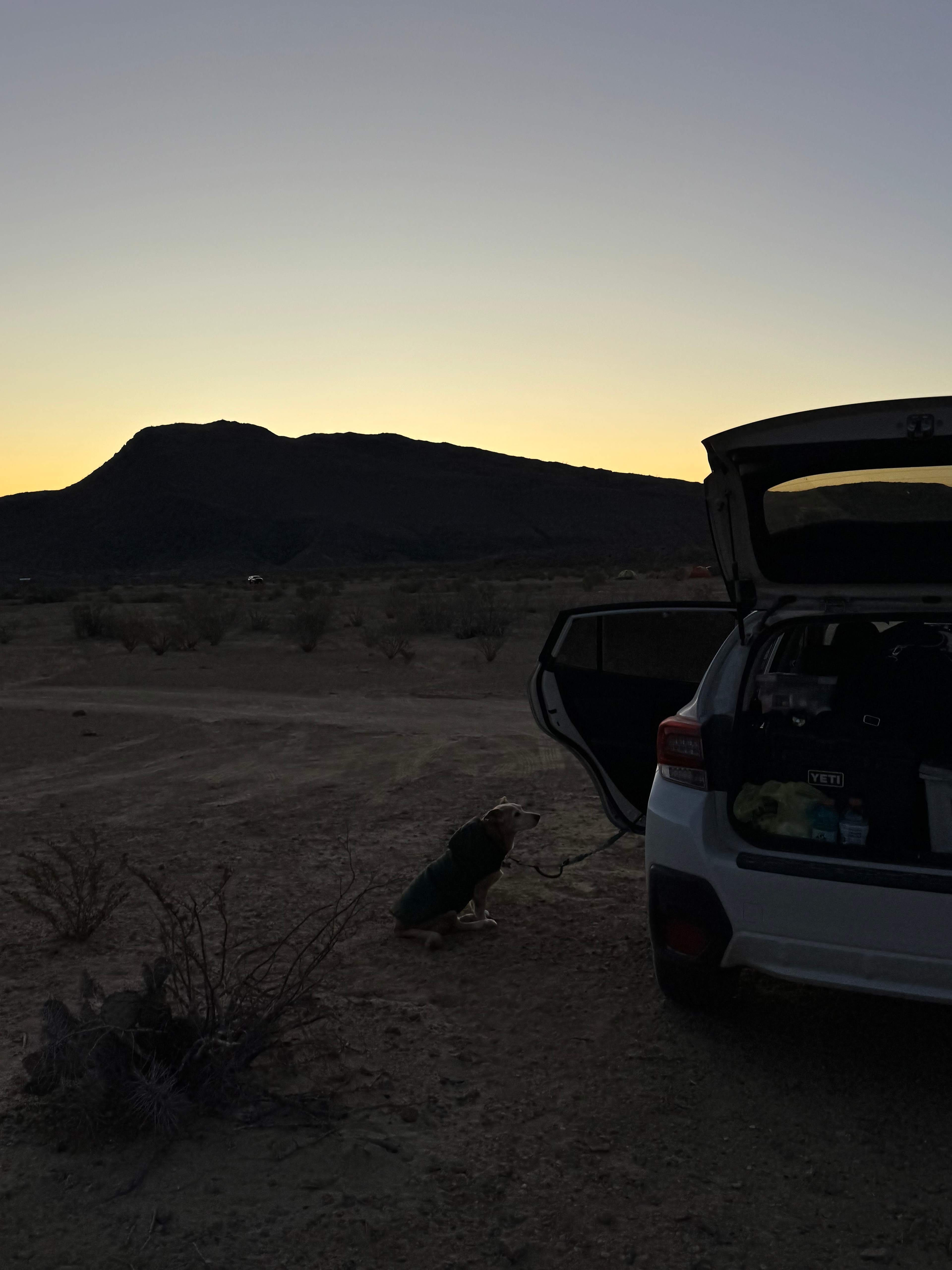 Goat Pens, Cigar Springs Ranch