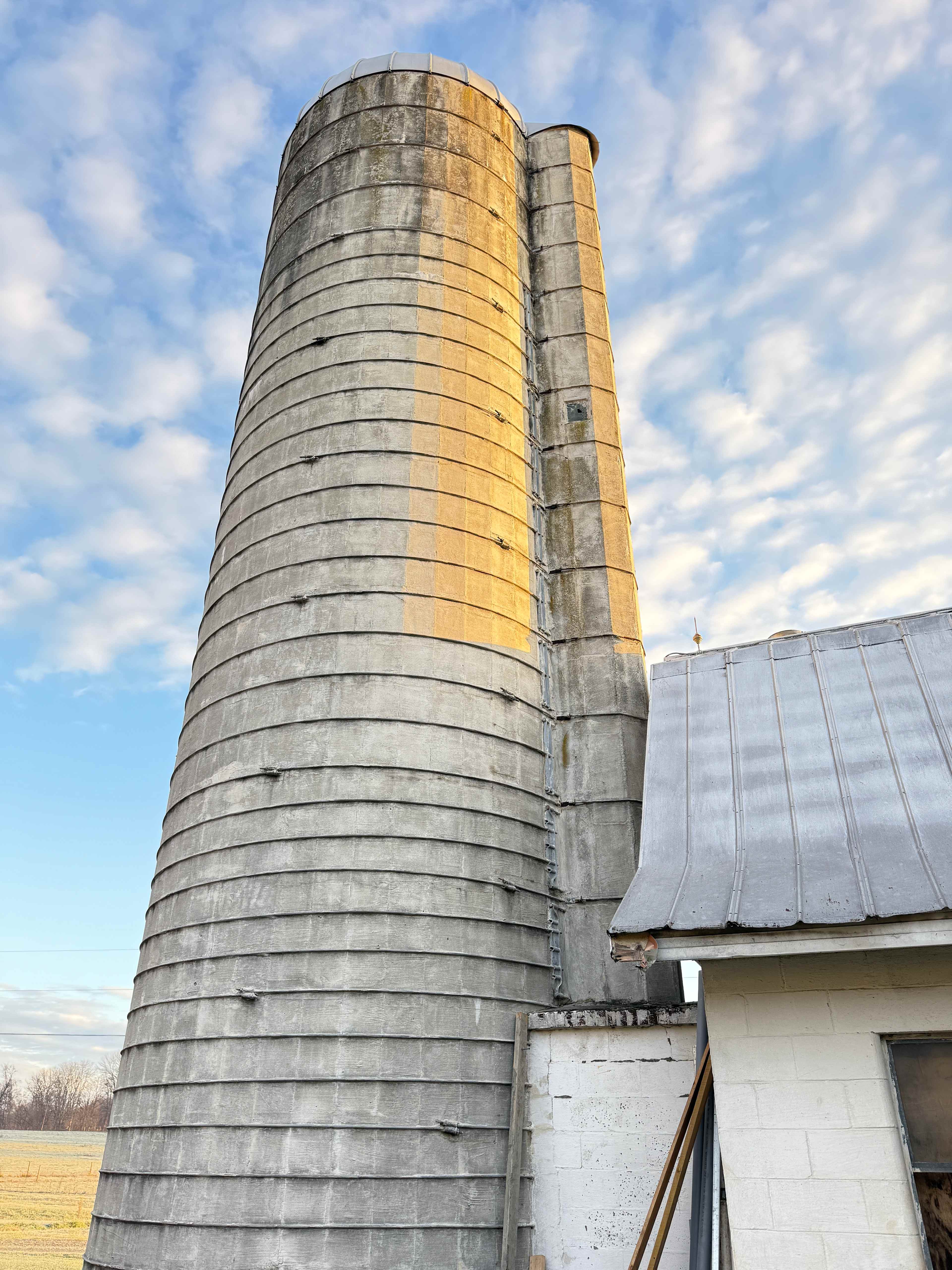 Happy Heart Highlands and Alpacas