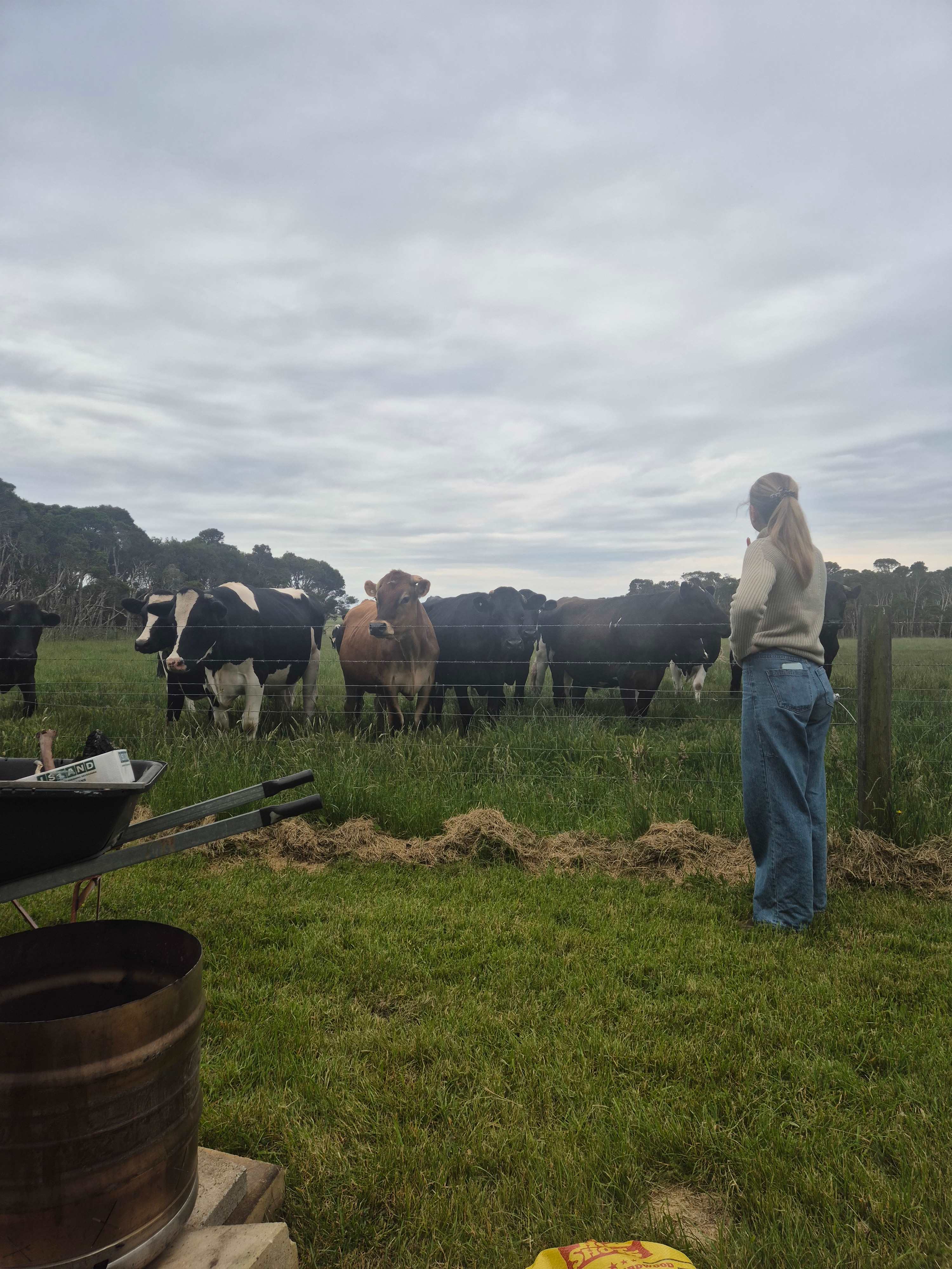 Green Gully Farmstay Camp Paddock
