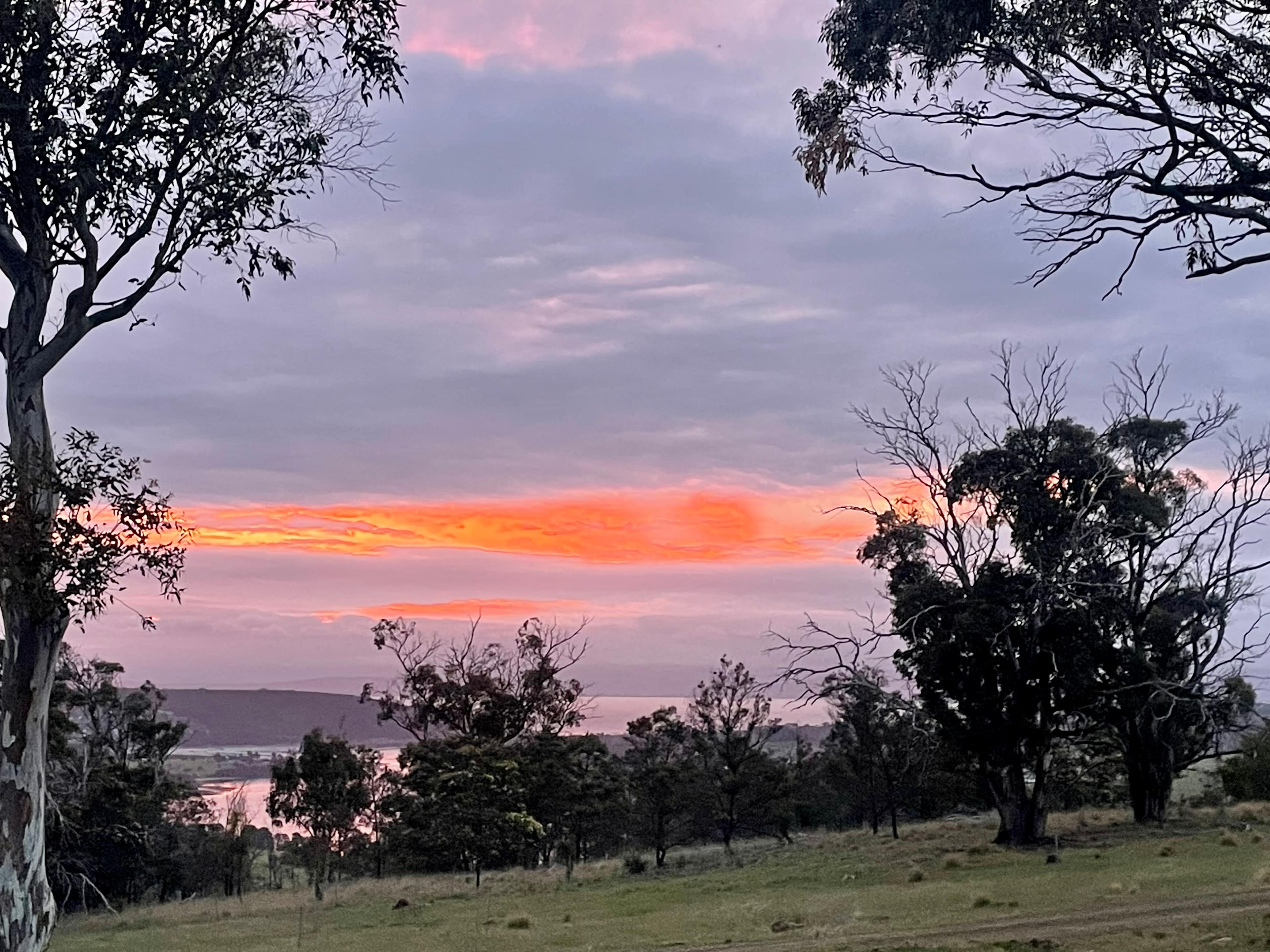 Bomana - Bushland Delight with Breathtaking Views