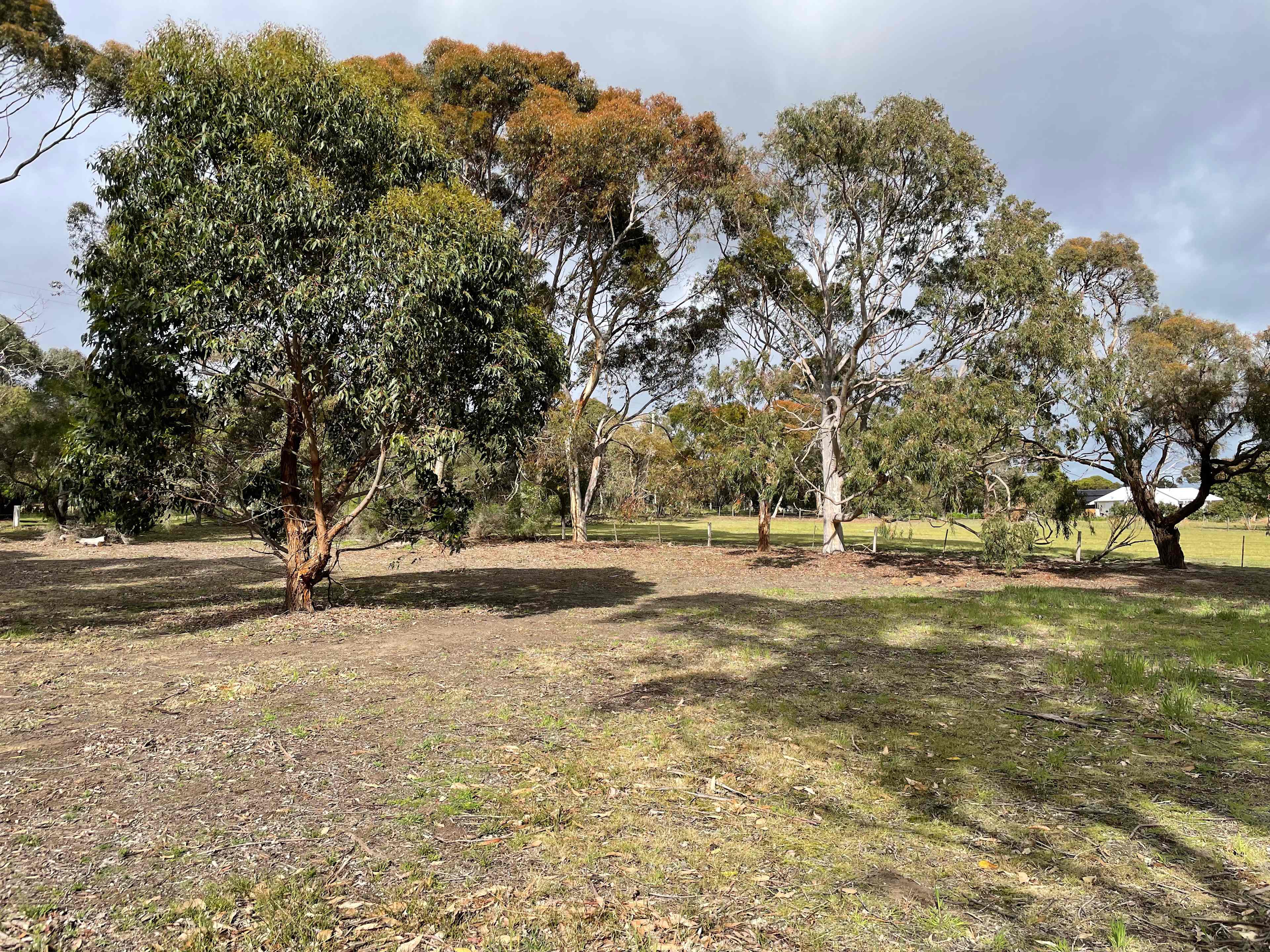 Afton Park - Heart of the Bellarine