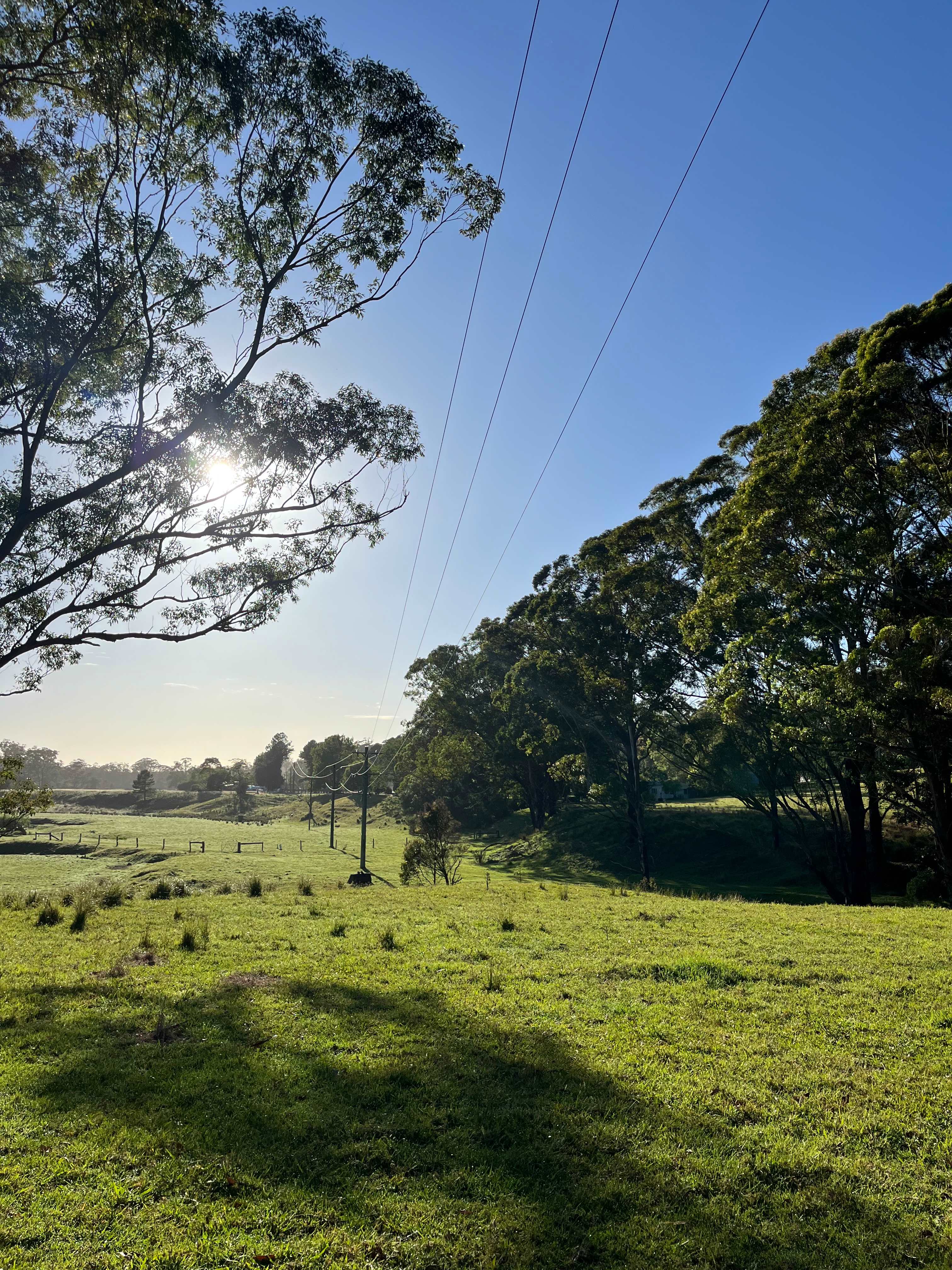 Little Forest Farmstay