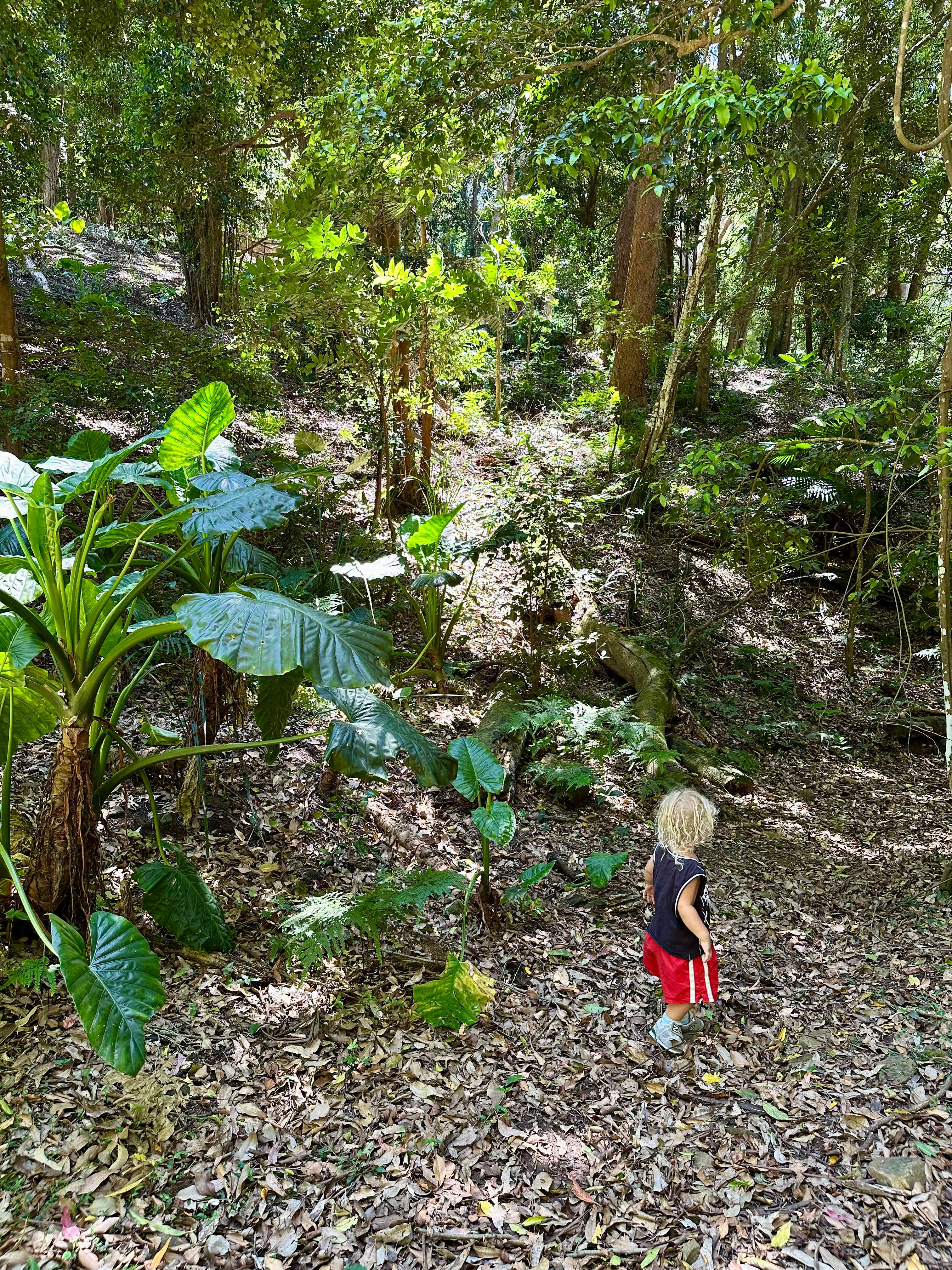 Otford Park nr Royal National Park
