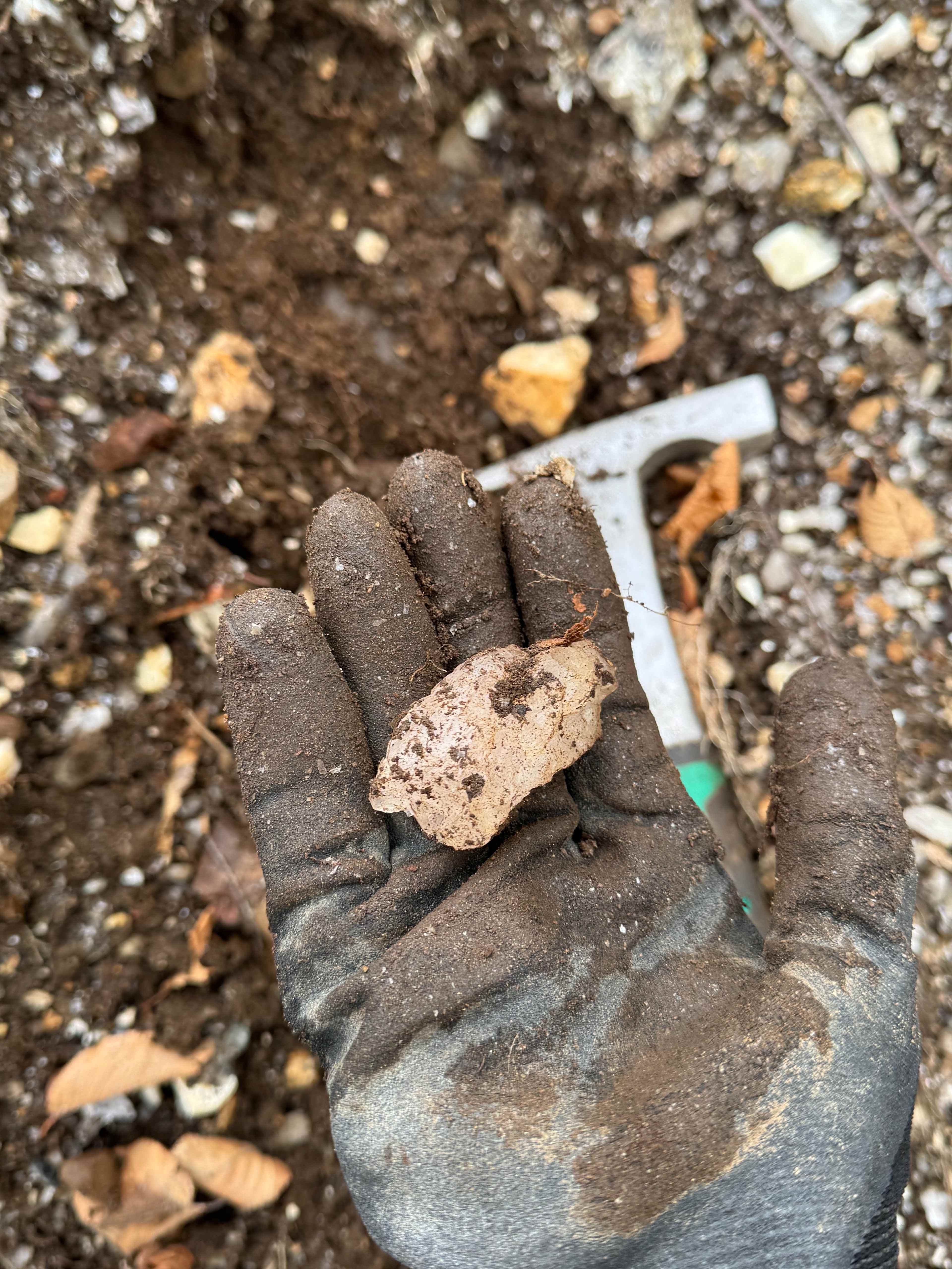 Tripp Mine Gemstones & Camping