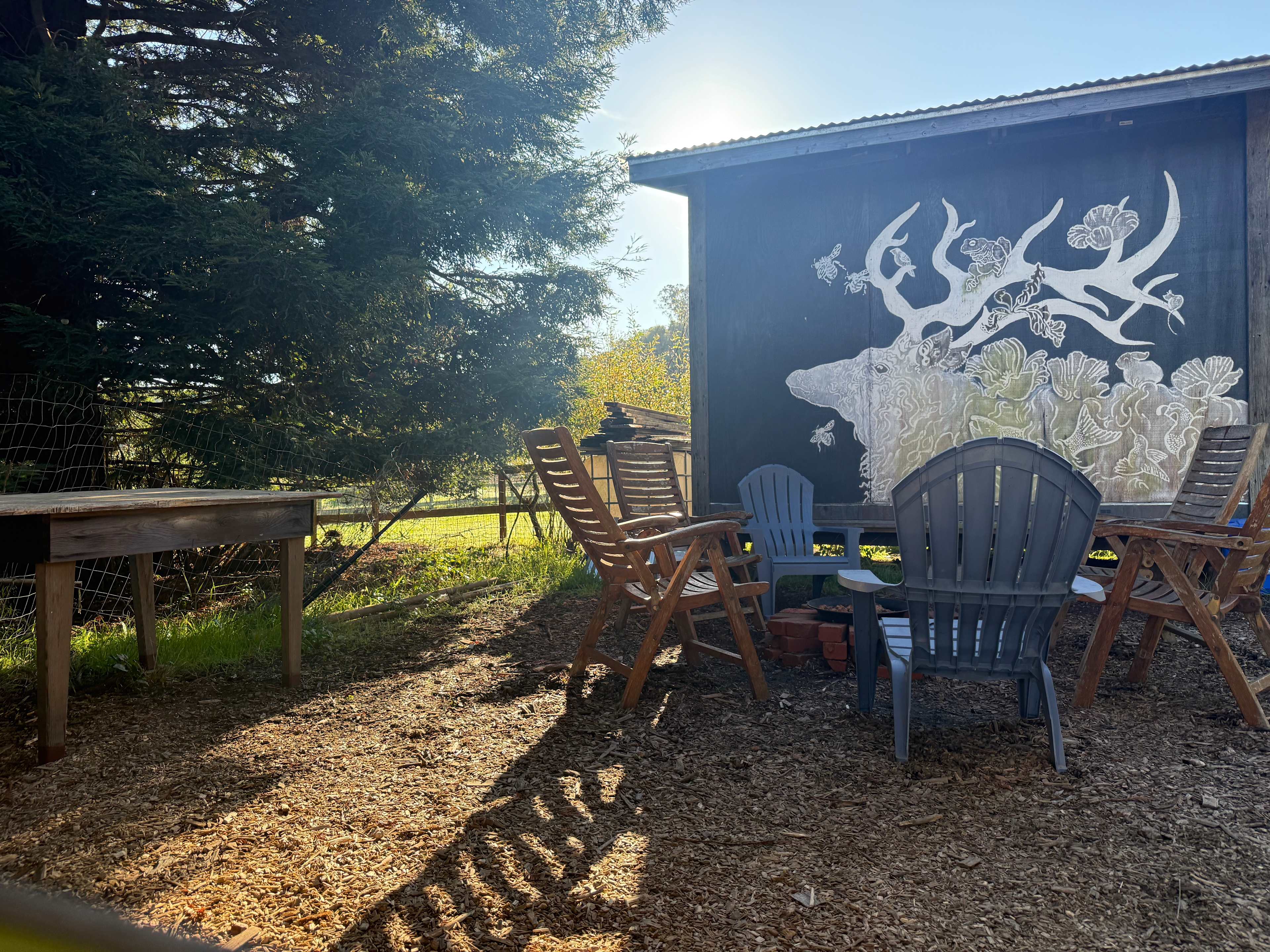 Meadow camping in Bolinas