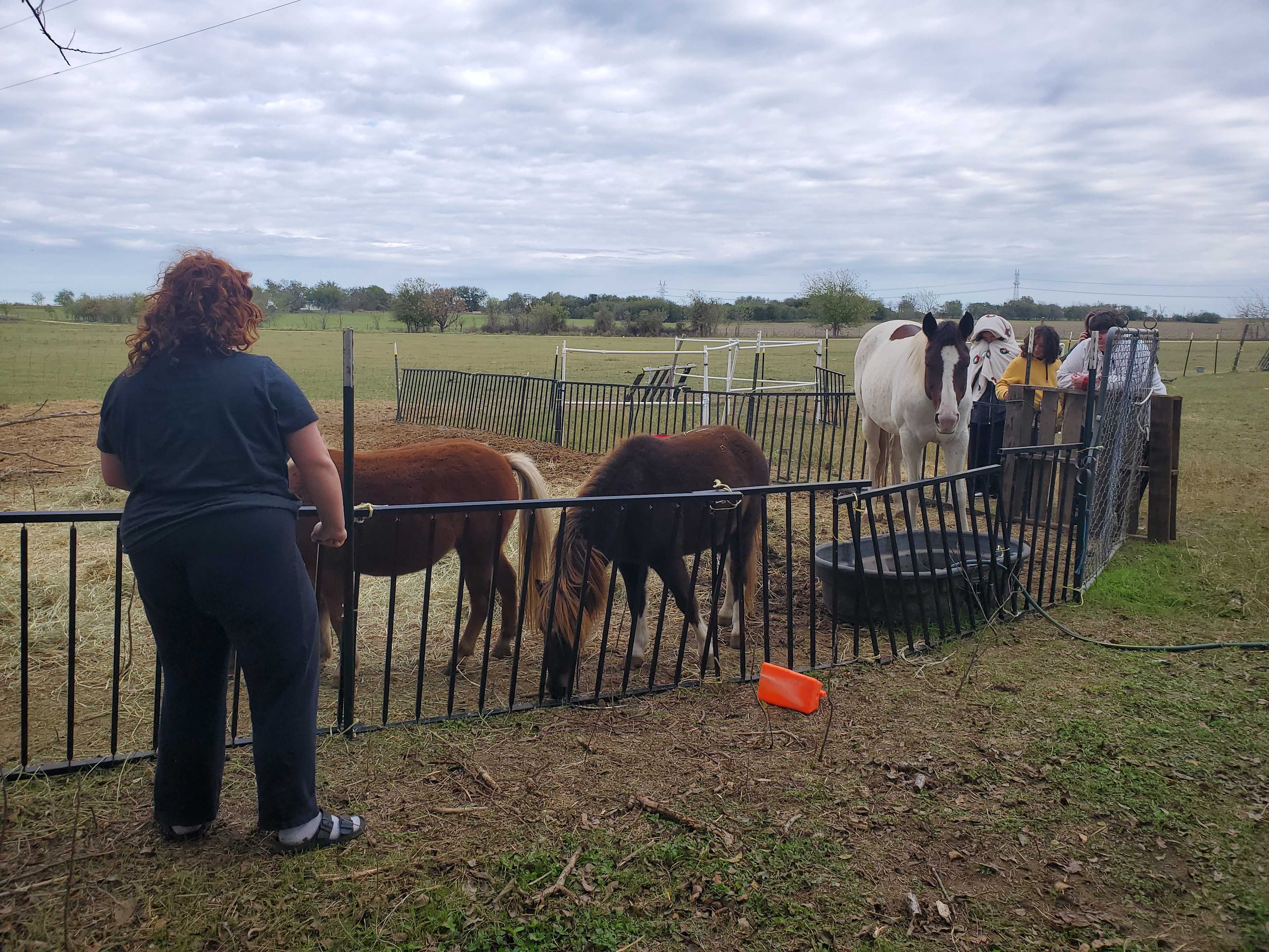 they have some cute ponies 