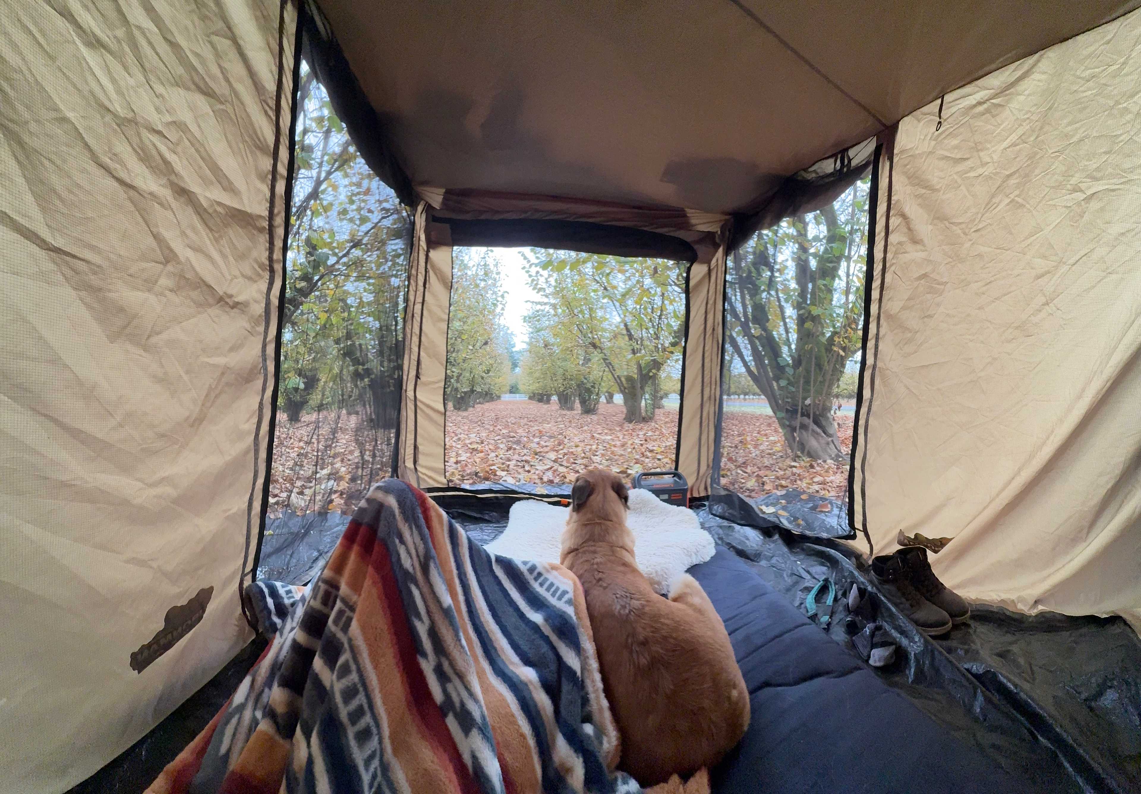 Tranquil Orchards and Wine Tours