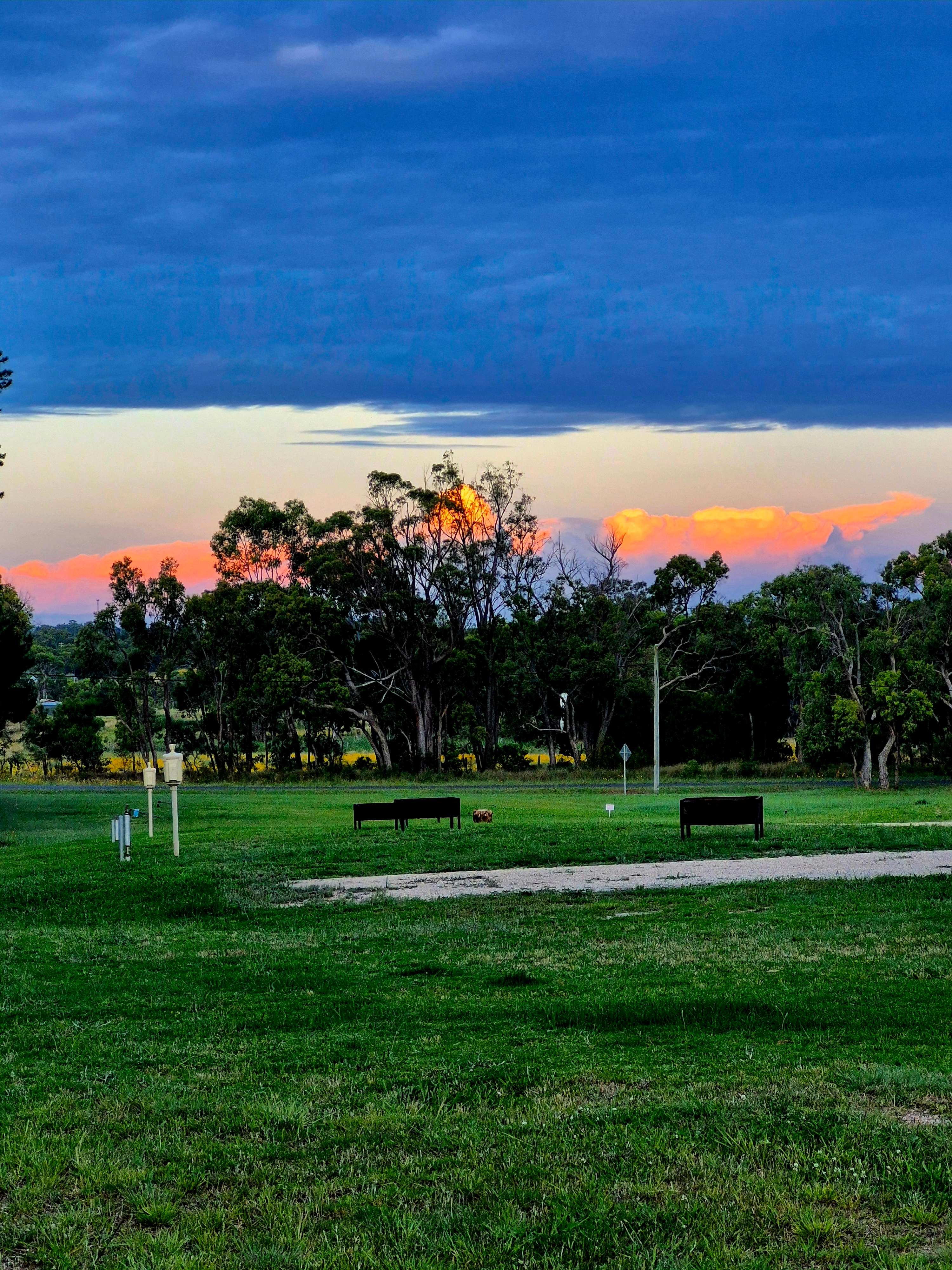 Mountview Wines Camping and Cabins