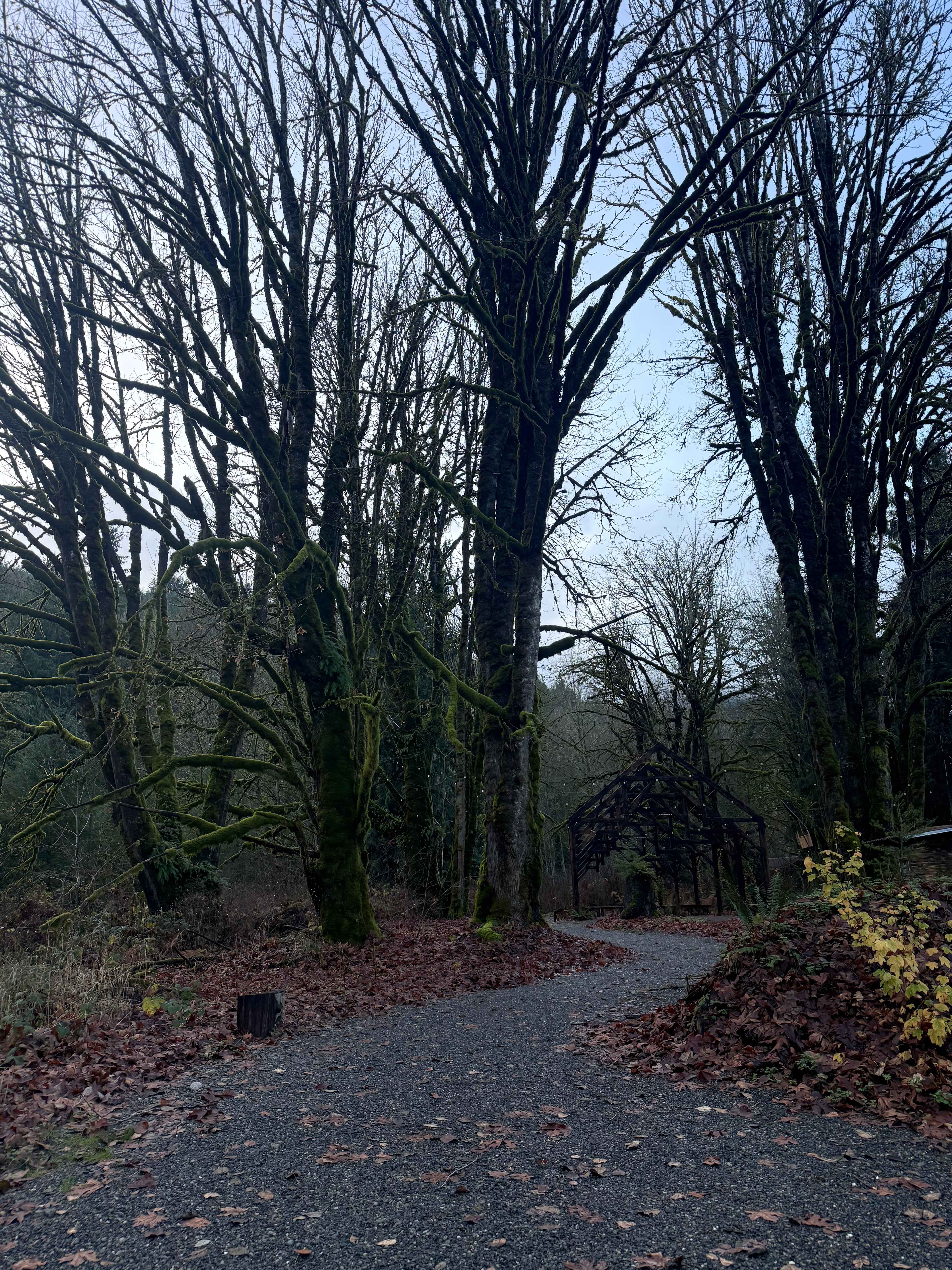 Samara Farm Treehouses