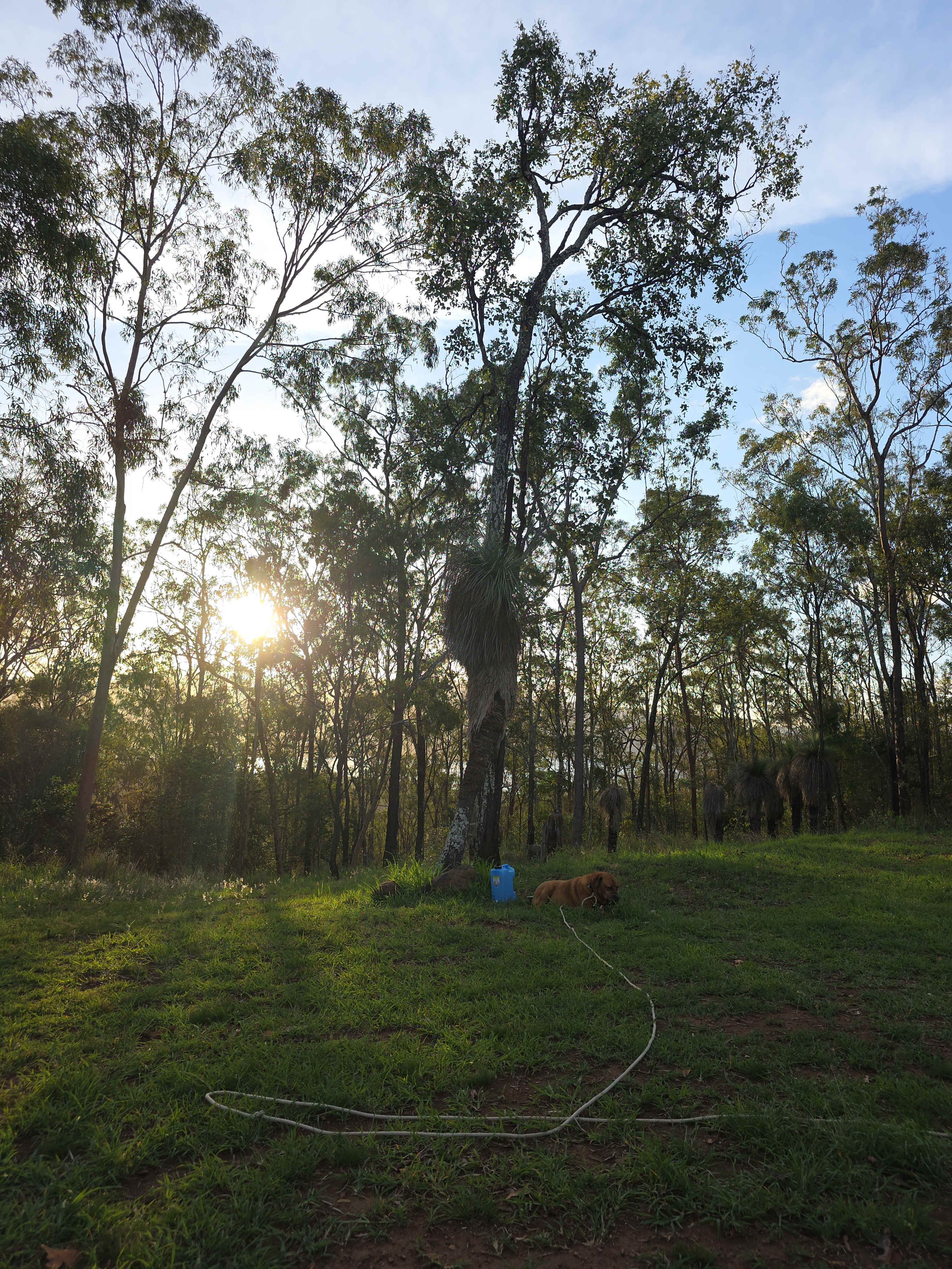 Somerset Dam Private Bush Camp