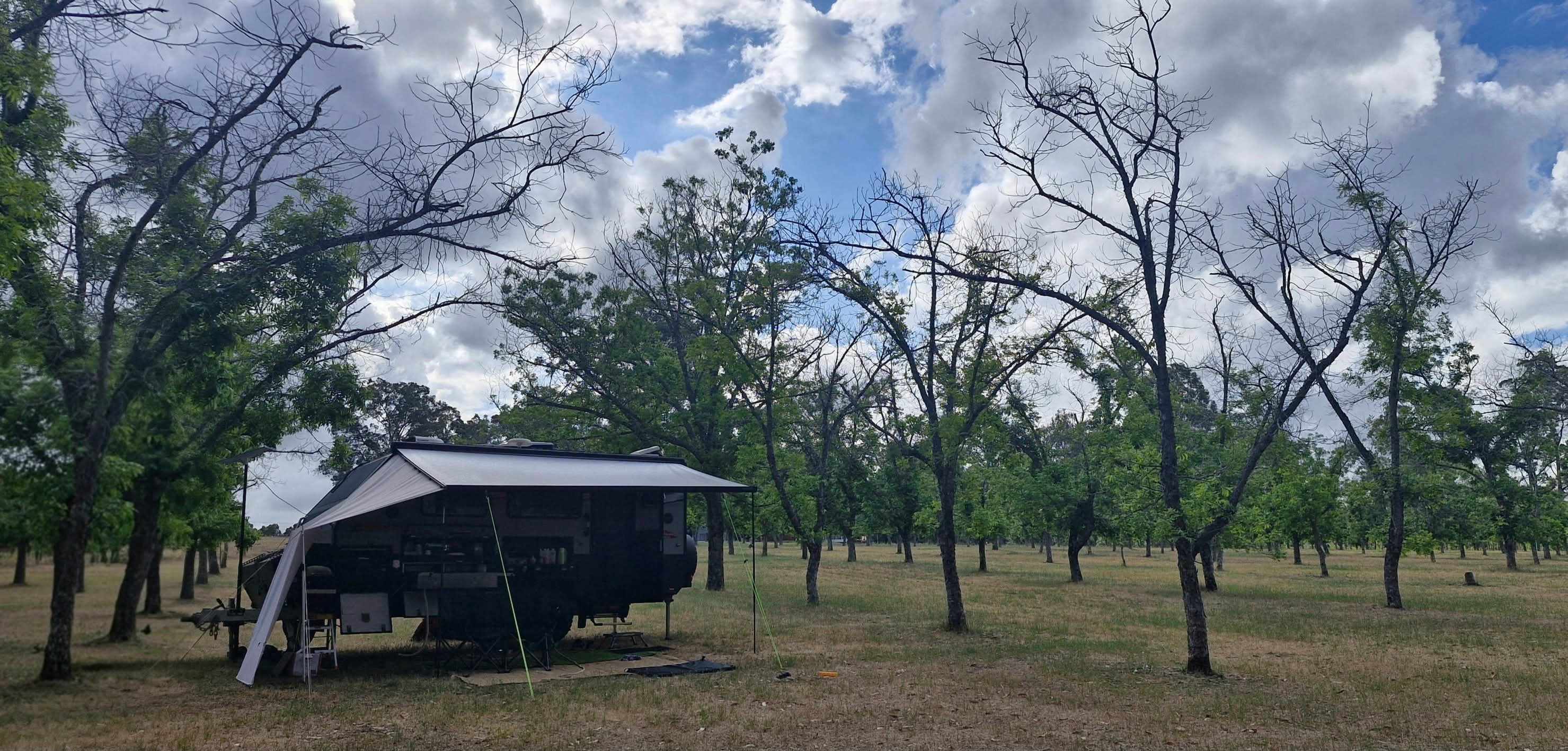 La Fiumara Olive Farm