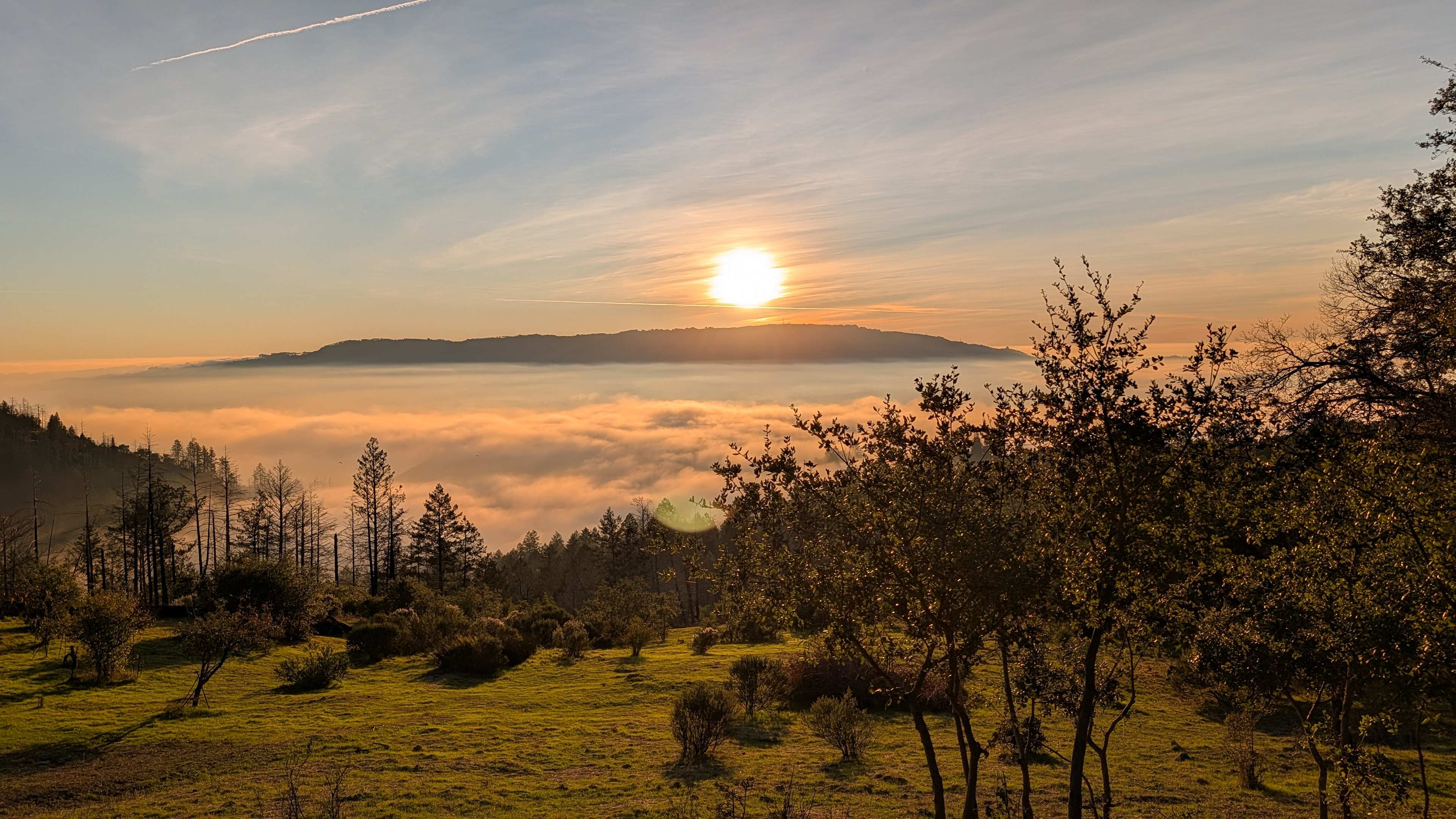 Above the Clouds RV Park