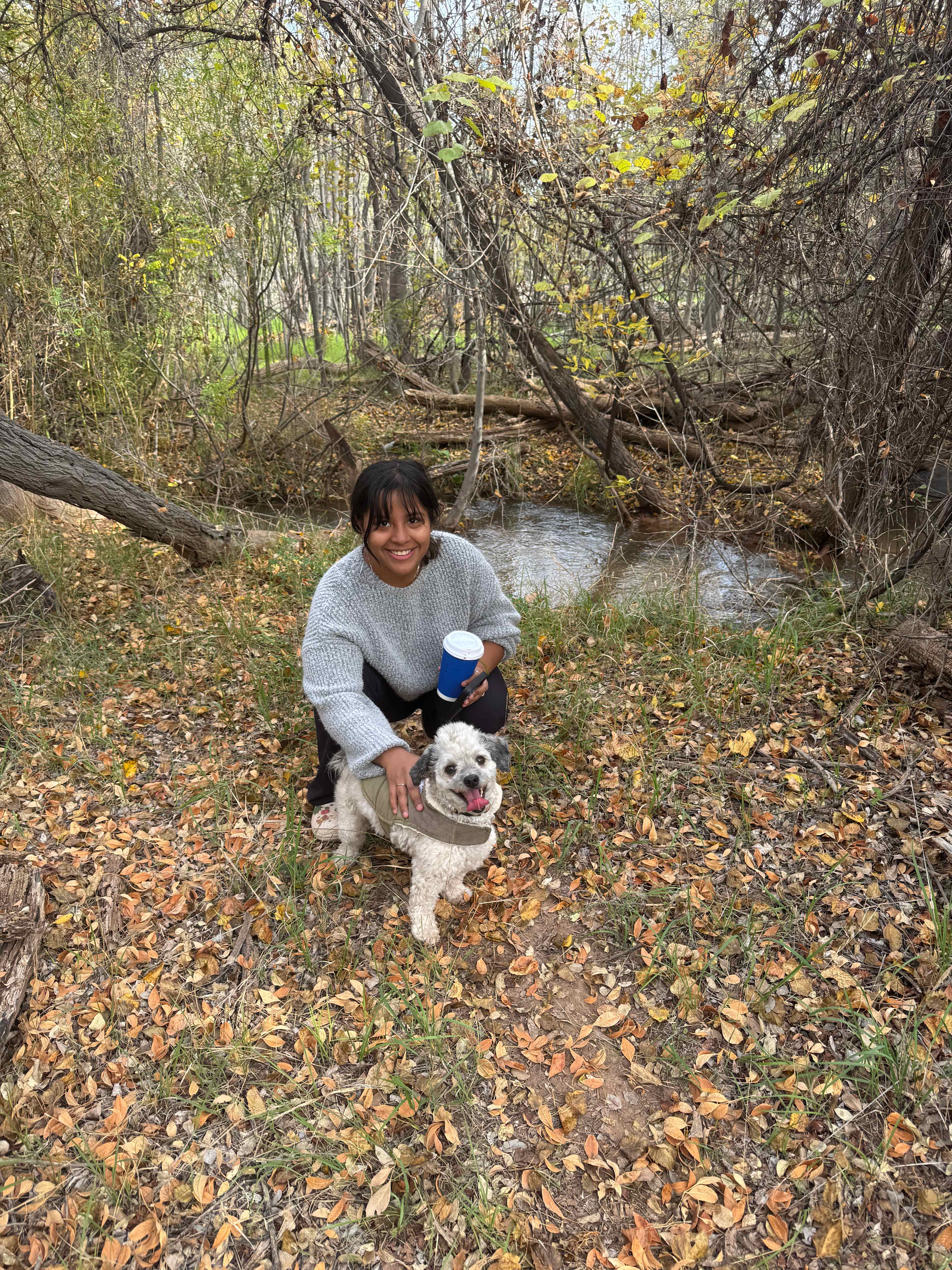 Hawks Hideaway Camping, LLC